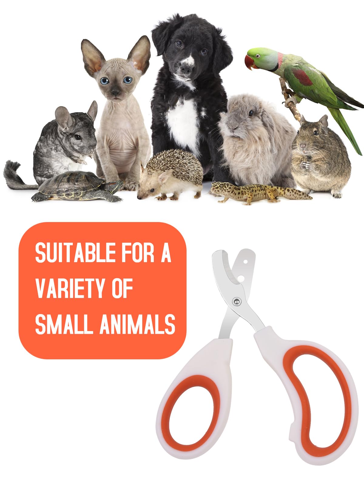 Stainless Steel Bearded Dragon Nail Clippers,Lizard Nail Clippers,Bearded Dragon Supplies,Bearded Dragon Nail Scissors for Small