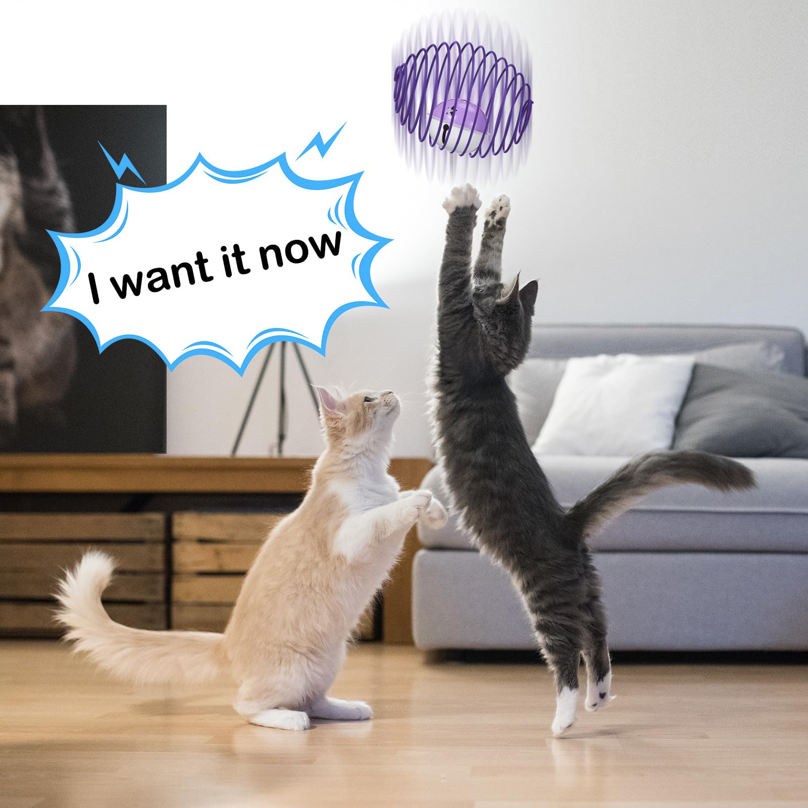 Jecery 5 Pcs Cat Spring Balls Toys Stretchable Rolling Balls Colorful Playful Coils Interactive Action Toy Caged Rats for Kitten
