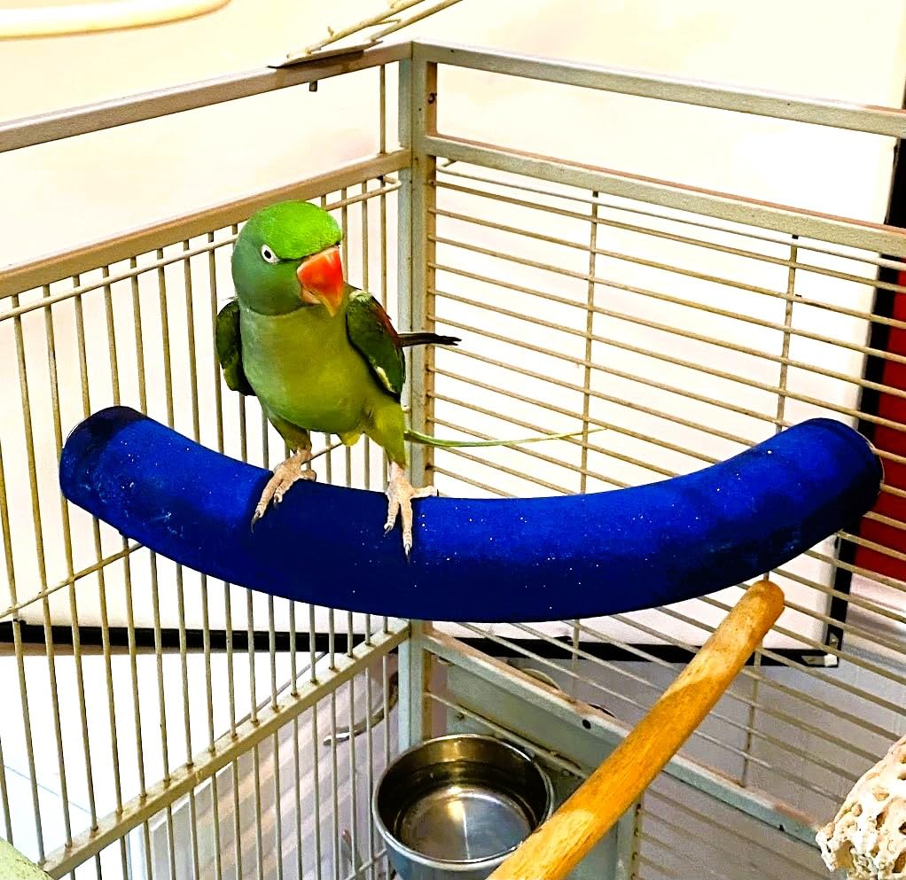 Polly'S Cozy Corner Bird Perch, X-Large