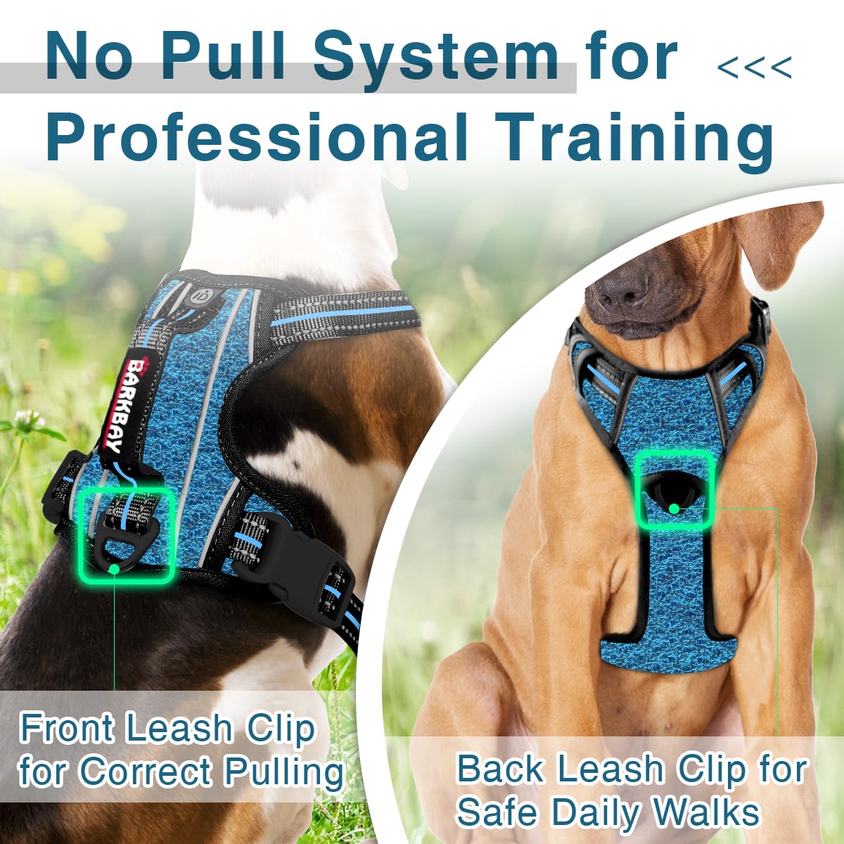 Barkbay Dog Harness No Pull With Id Tag Pocket - Heavy Duty, Reflective, Easy Control For Large Dogs (Blue/Black,L)