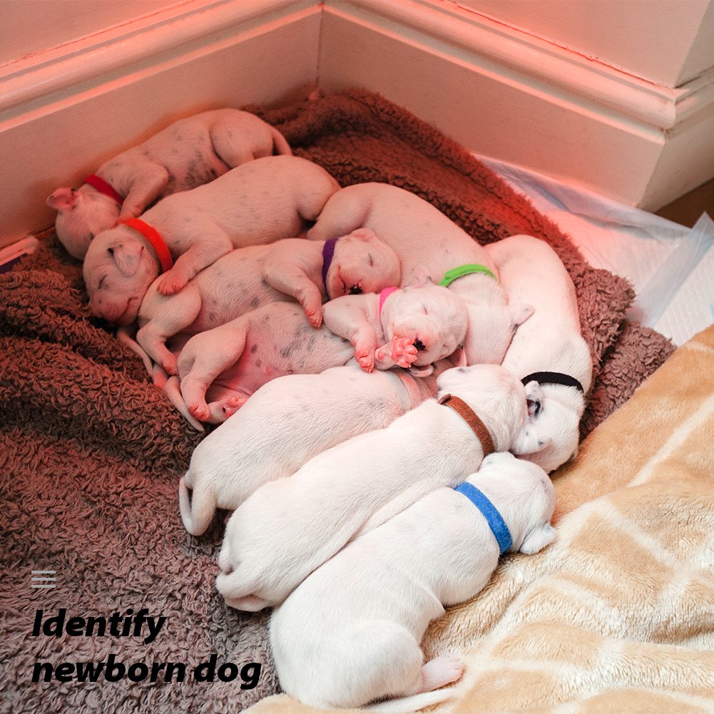 Puppy Whelping Collars, Uiuix 15 Colors Puppy Id Collars, Double-Sided Soft Adjustable Id Bands For Newborn Pet Dog Cat (15 Pcs)