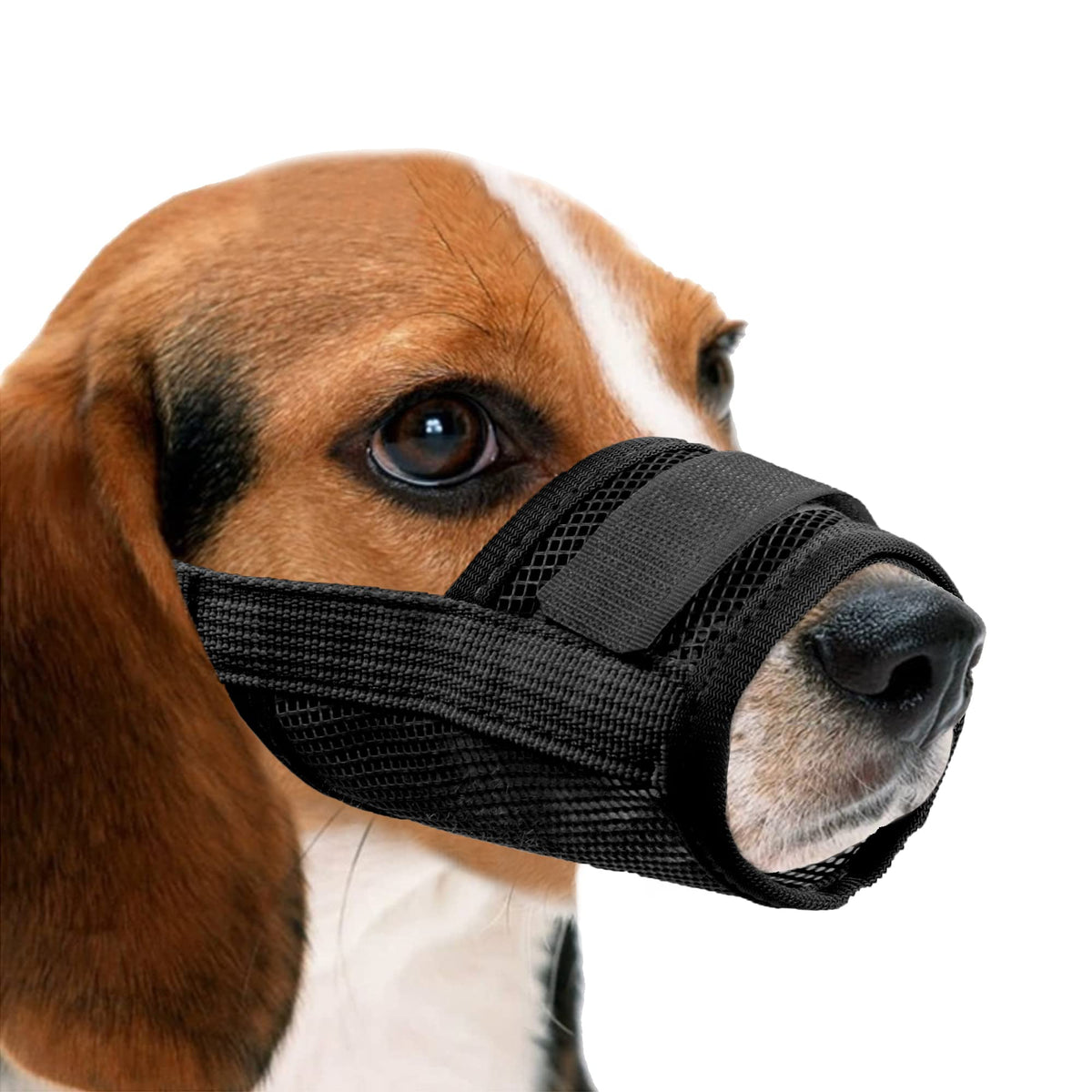 Yaodhaod Nylon Mesh Breathable Dog Mouth Cover, Quick Fit Dog Muzzle With Adjustable Straps，Pet Mouth Cover, To Prevent Biting And Screaming To Prevent Accidental Eating(L, Black)