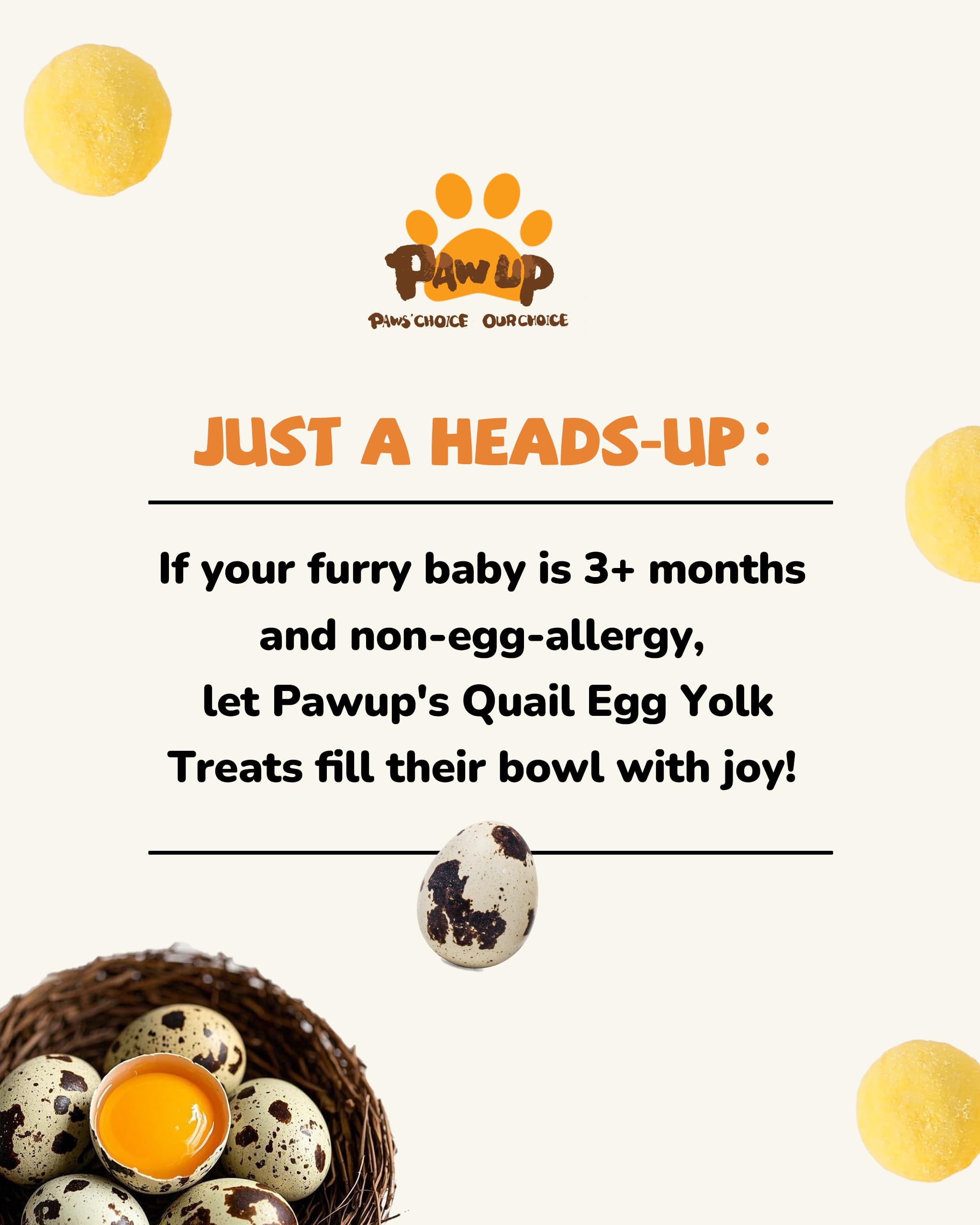PAWUP Freeze Dried Cat & Dog Treats, Natural Quail Egg Yolk, Single Ingredient, High-Protein Pet Snacks for Skin & Coat Health,