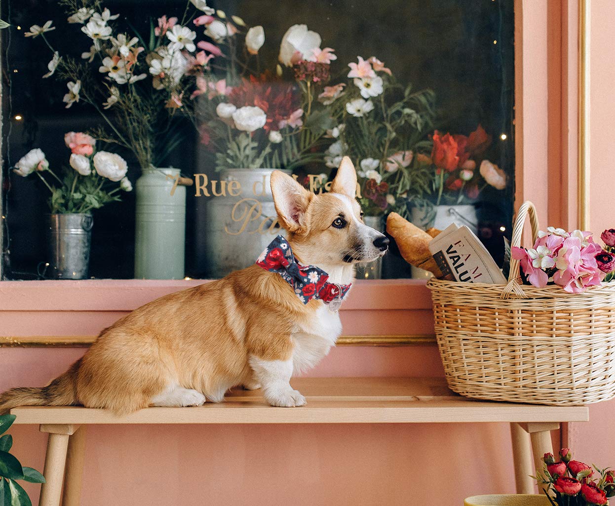 Dogwong Cotton Summer Dog Collars, Floral Dog Collar, Adjustable Heavy Duty Girl Dog Collar With Bow For Small Medium Large Dogs