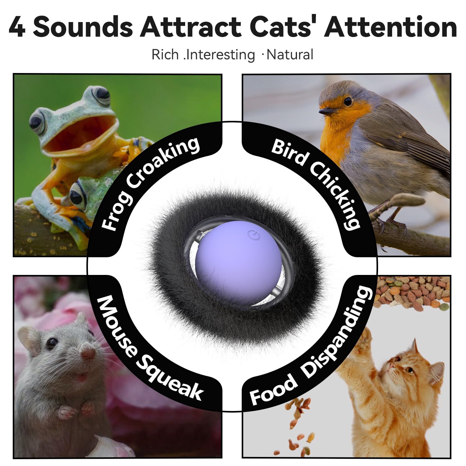 ORSDA Cat Toys for Indoor Cats, Interactive Activated Moving Ball in 7 Holes Mat, Automatic Fast Rolling Ball, Hide and Seek Toy