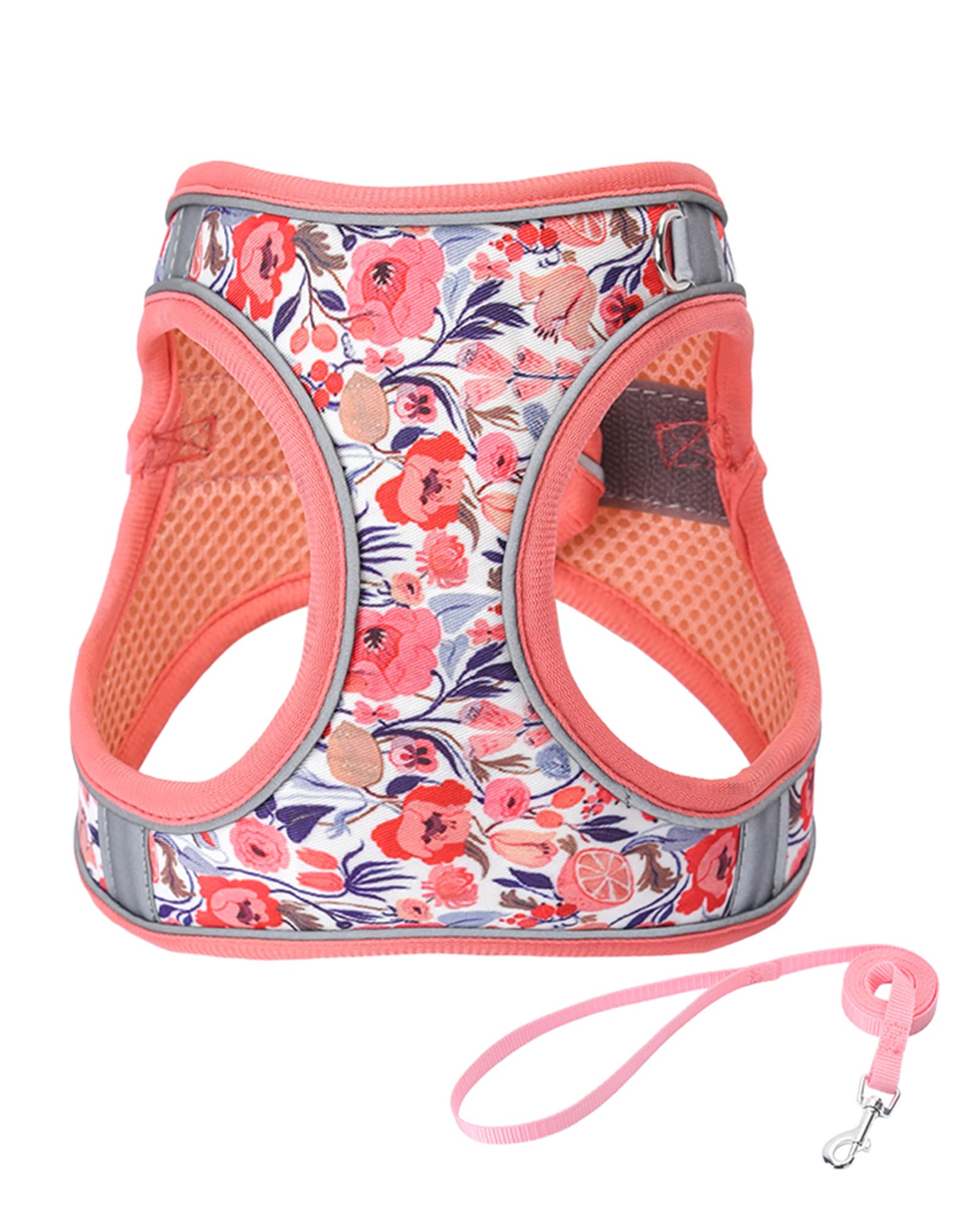 JUFOO XS Peach Flower Pattern Dog Harness and Leash Set,No Escape Easy Walk Puppy Harnesses for Training Walking,Breathable Adju