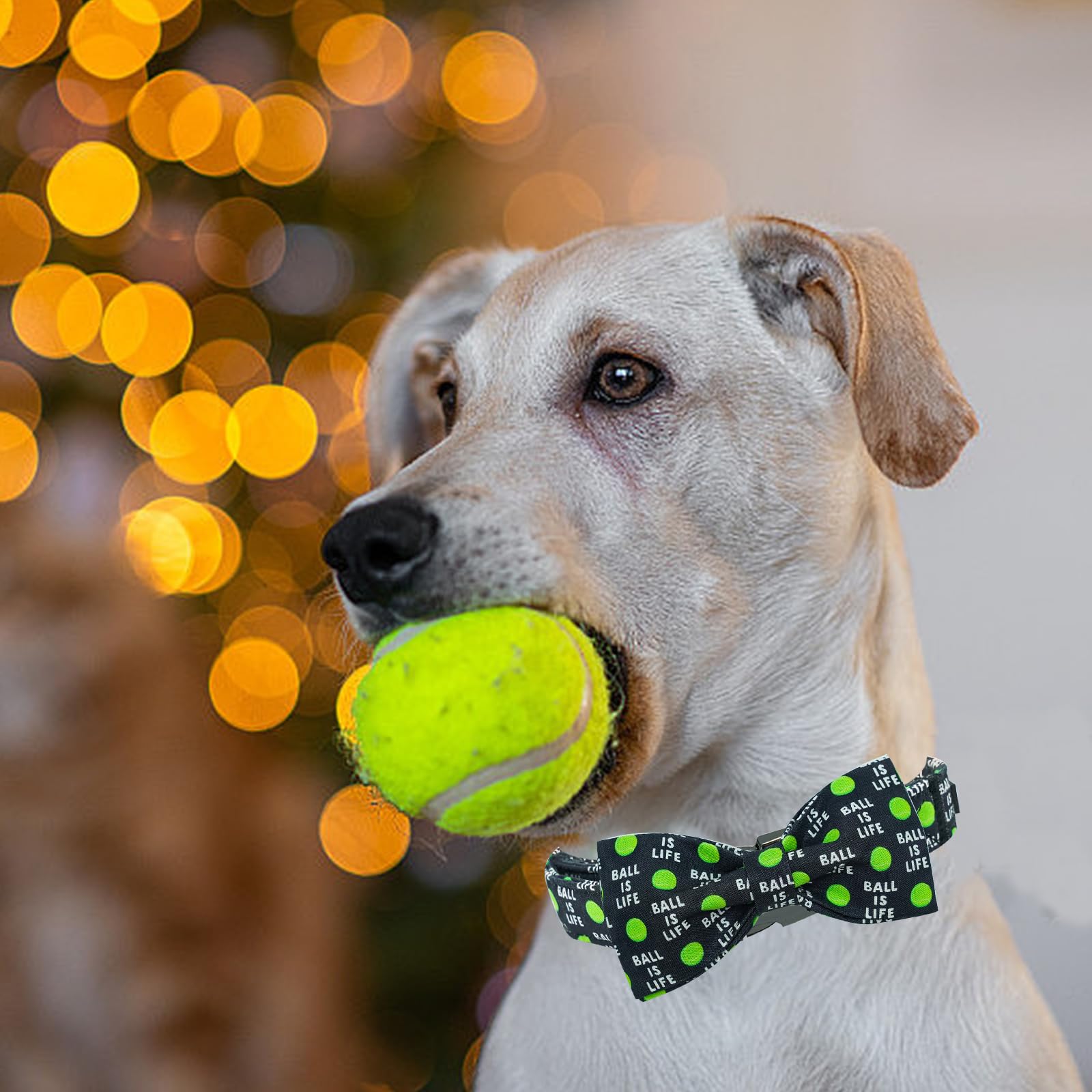 Elegant little tail Dog Collar, Balls Print Dog Collar with Bow Tie Summer Dog Collar Pet Collar Boy Girl Cute Bowtie Collar Dog