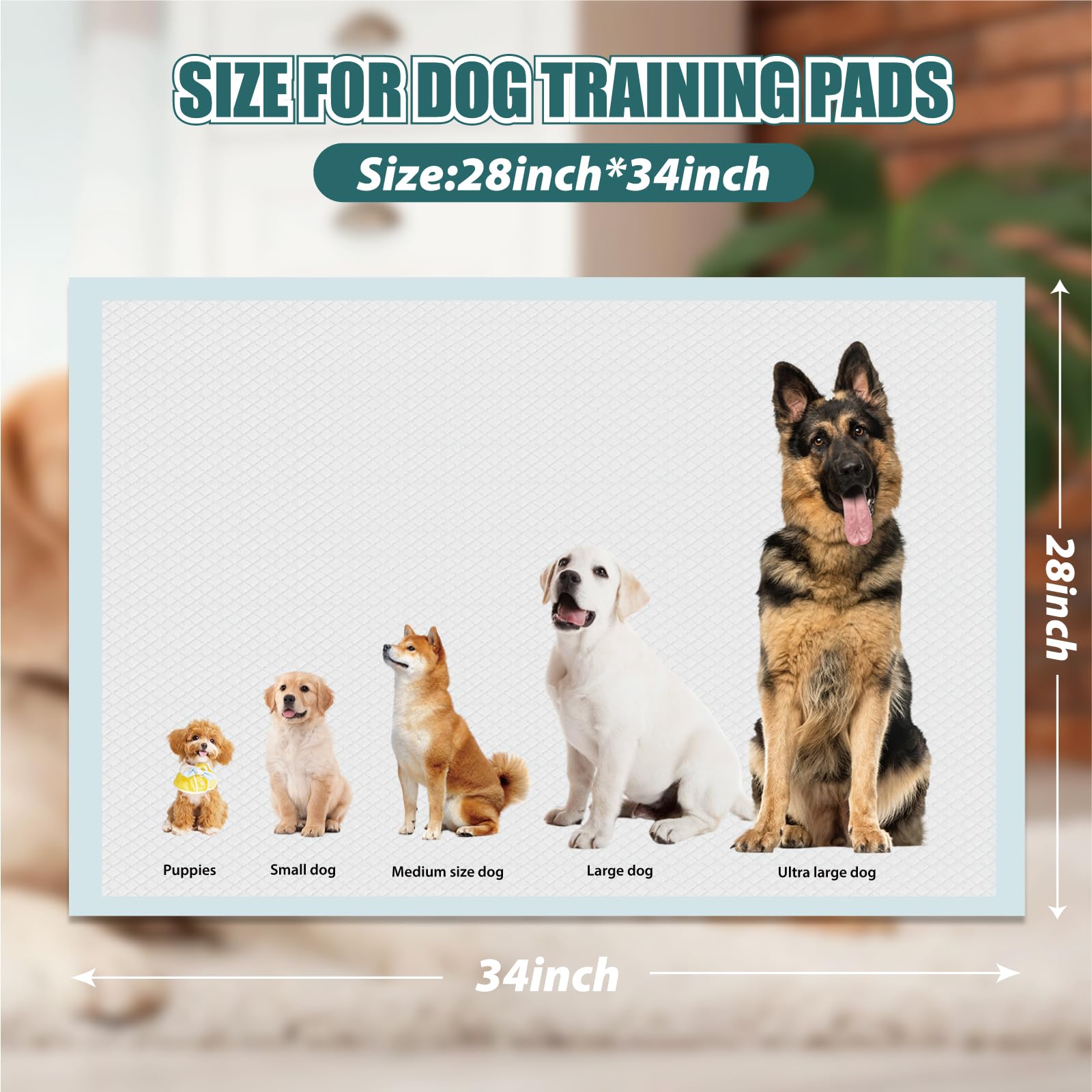 GWT Puppy Pads, Leak-Proof Changing Pad, 28x34 [40 Pads] Pee Pads for Dogs, Ultra Absorbent 5-Layer Dog Pads for Potty Training,