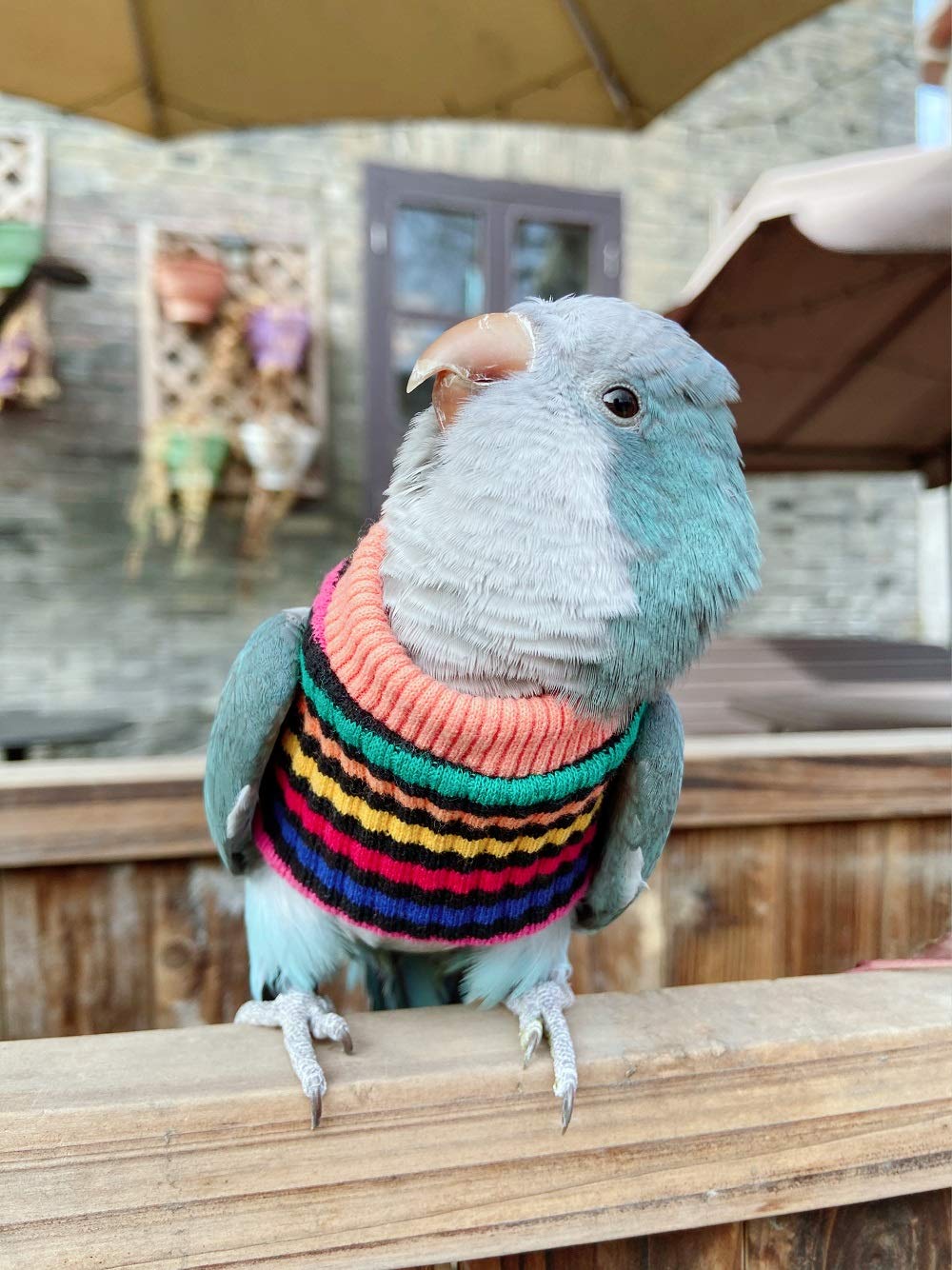 Hezhuo Parrot Bird Supplies, Light Flying Clothes, Warm And Comfortable, Tiger Skin, Green Cheek Parrot, Little Sun Parrot, Monk Parrot, Starling, Mynah, Senegal Parrot, Mini Macaw Sweater (S)