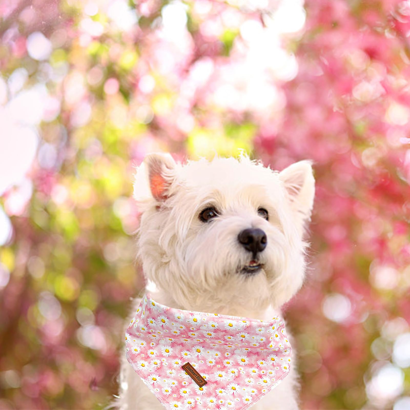 Lionheart Glory Dog Bandana - Square Adjustable Florals Dog Kerchief For Medium & Large Dogs, Soft Washable Comfortable Scarf, P