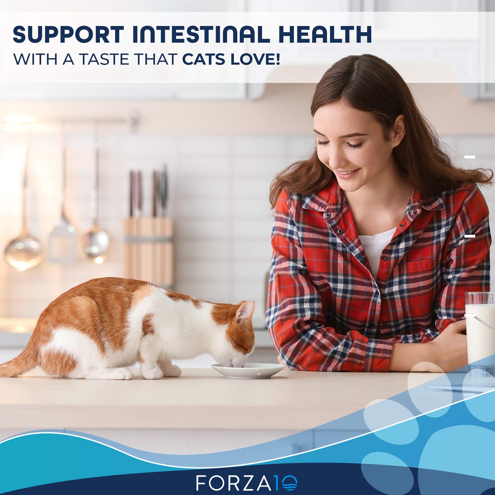 Forza10 Active Intestinal Support Diet Dry Cat Food for Adult Cats, Cat Food Dry for Upset Stomach, Diarrhea and Intestinal Diso