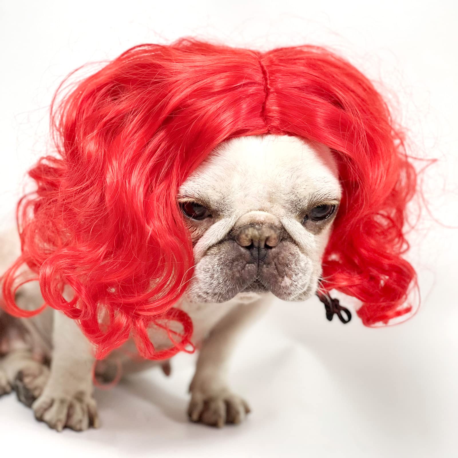 Funny Dog Cat Cosplay Wig, Pet Wigs For Halloween, Christmas, Parties, Festivals, Dog Wigs For Small Medium And Large Dogs (Wine Red)