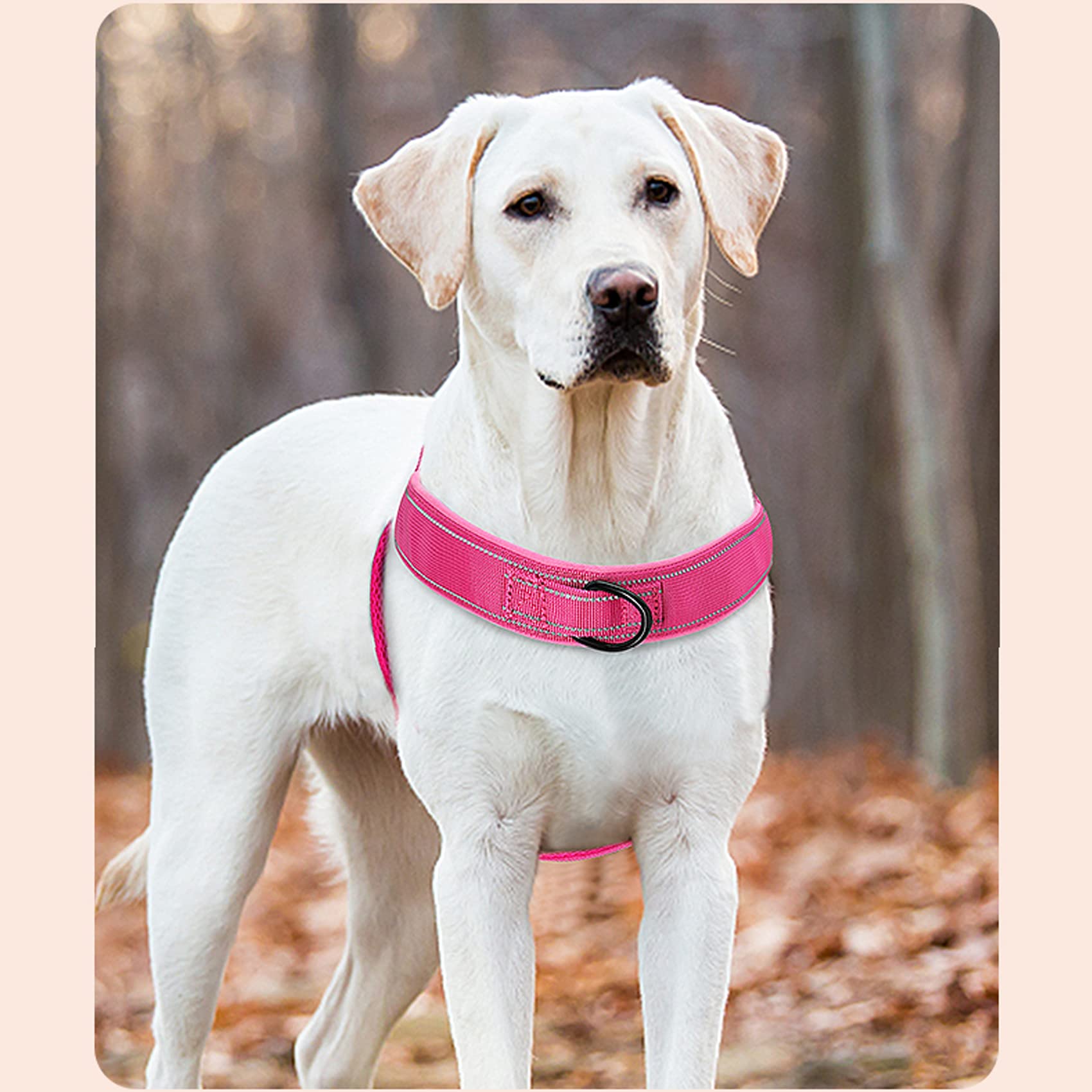 Qifbyfb No Pull Dog Harness For Medium Large Dog, Reflective Escape Proof Adjustable No Pulling Dog Harness, Dog Harness Pink L