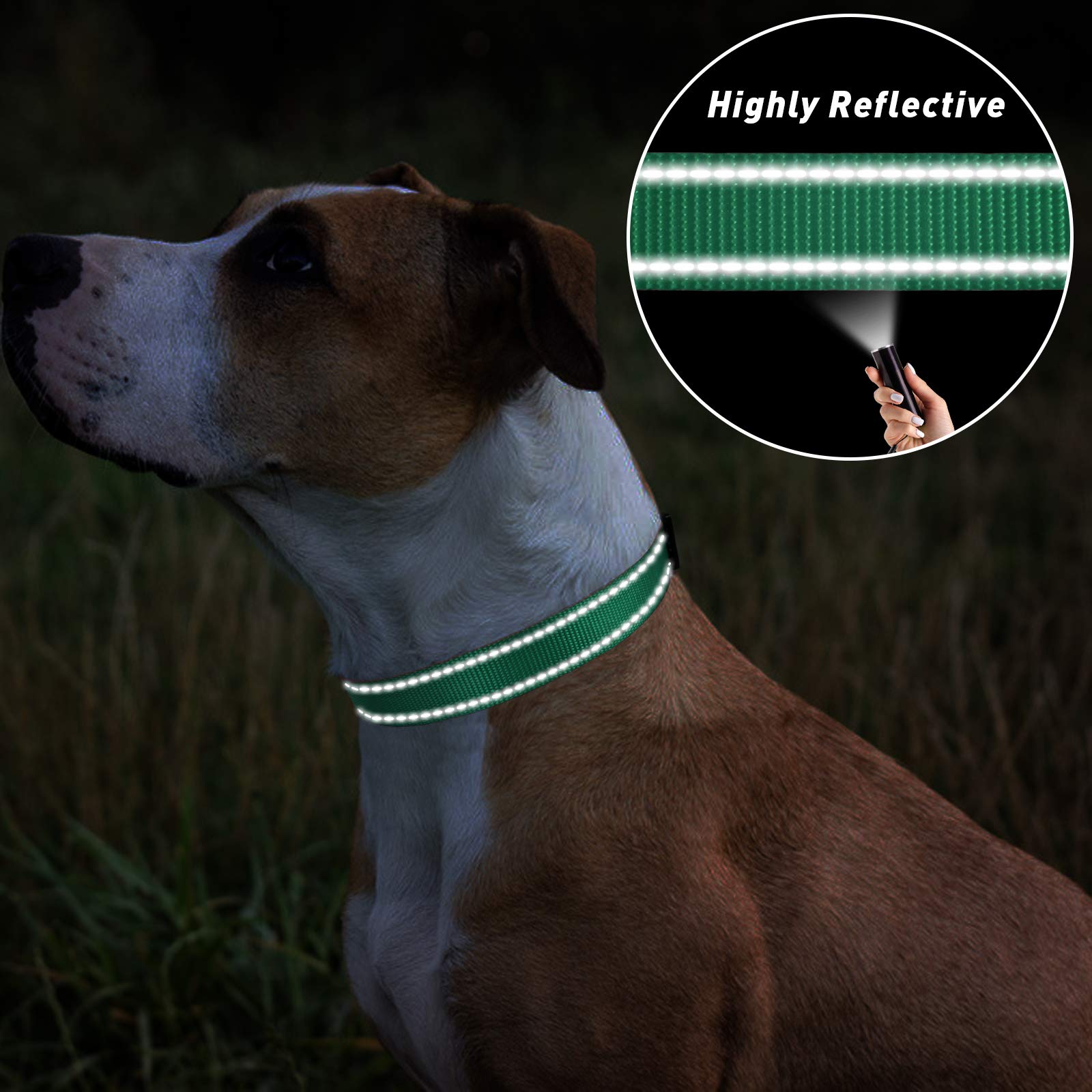 Tagme Reflective Nylon Dog Collars, Adjustable Classic Dog Collar With Quick Release Buckle For Extra Large Dogs, Turquoise, 1¼' Width