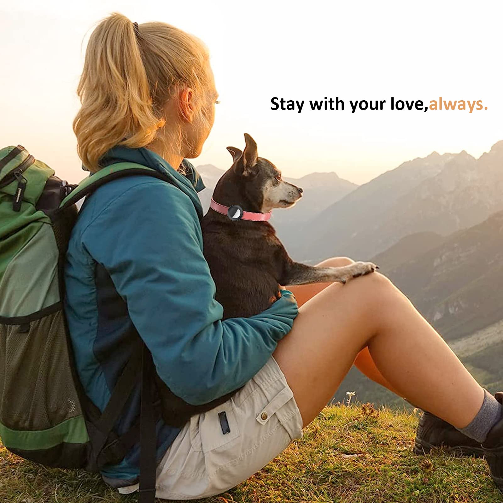 2022 Airtag Cat Collar Holder, Small Air Tag Cat Collar Holder Compatible With Apple Airtag Gps Tracker, 2Pack Waterproof Case Cover For Cat Dog Pet Collar Within 3/8 Inch (Luminouspink&Luminousblue)