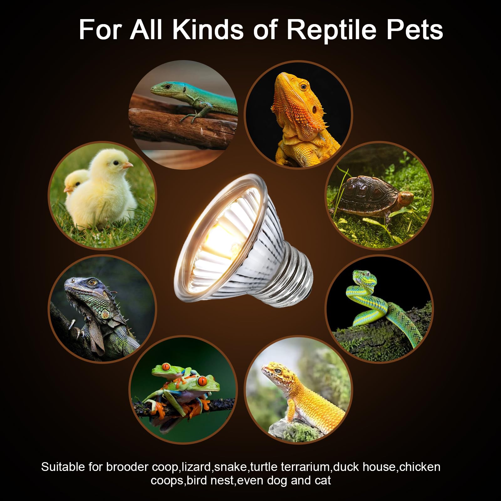 RAGFOZ Turtle Reptile Heat Lamp Bulb 50W, UVA UVB Reptile Light Bulb for Turtle Tank, Fit for E26 Base, Fits Reptiles and Amphib