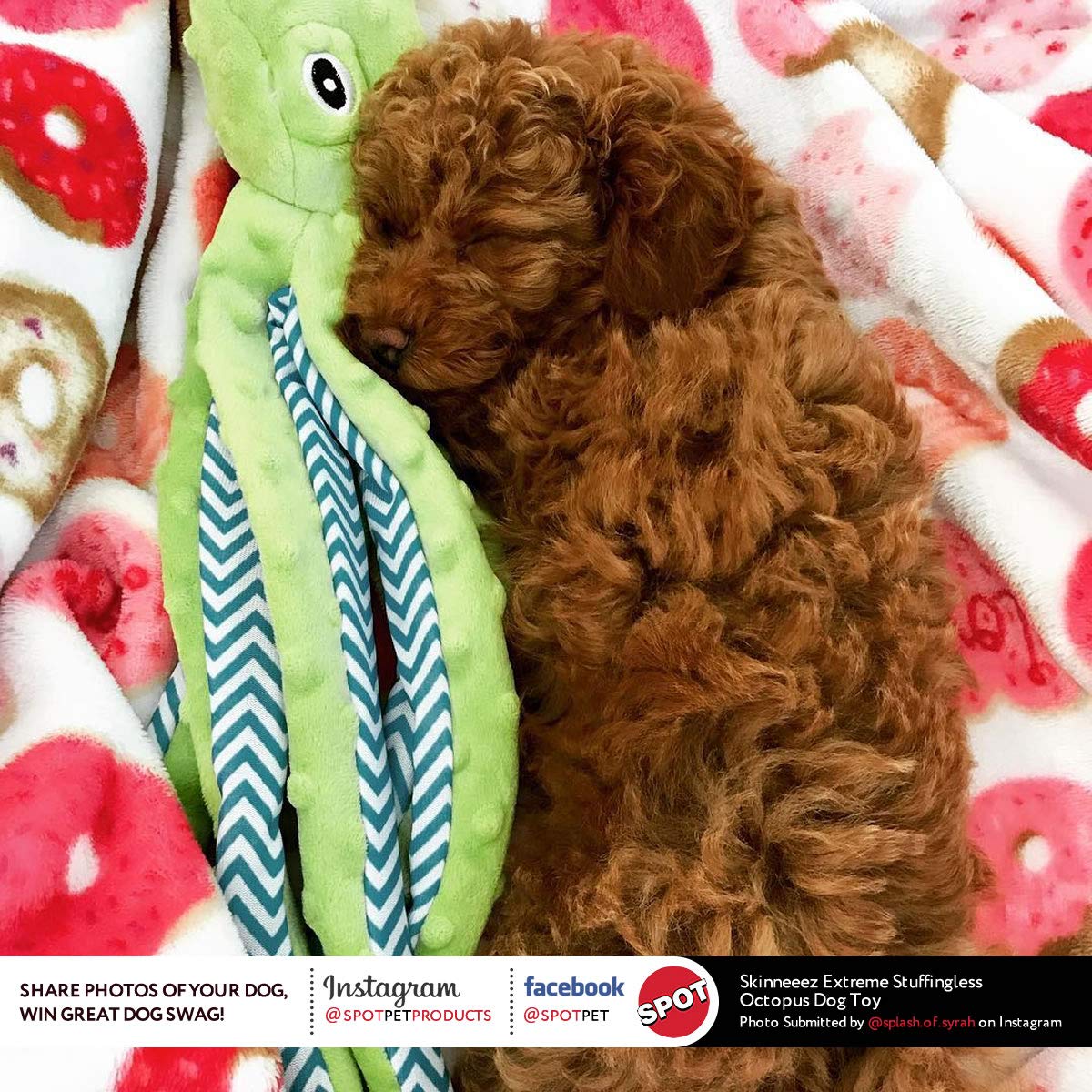 SPOT Skinneeez Extreme Octopus Dog Toy - 16    Stuffing-Free Plush Toy for Small/Medium Dogs with Squeaker - Great for Puppies &