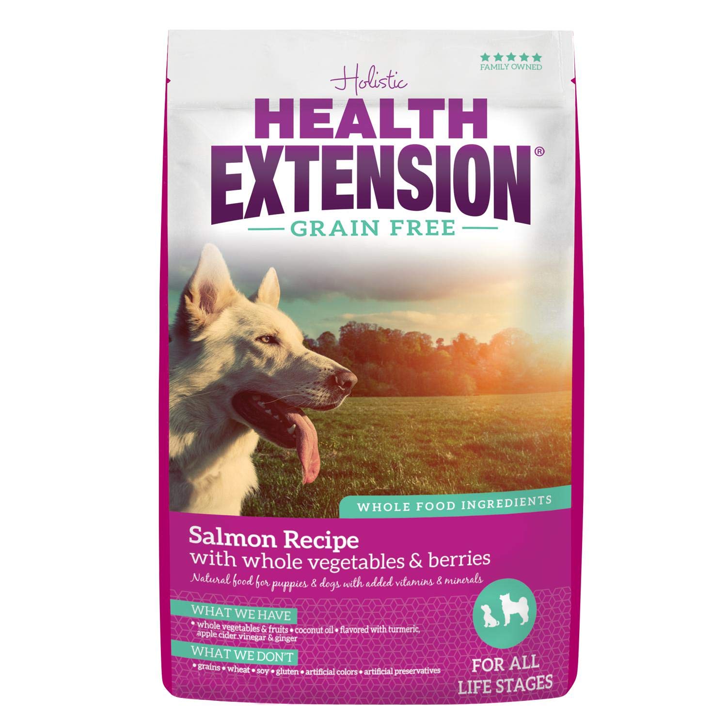 Health Extension Grain Free Salmon & Sweet Potato Dry Dog Food (4 lb / 1.81 kg) - Whole Foods Ingredients Formula with Omega 3 &