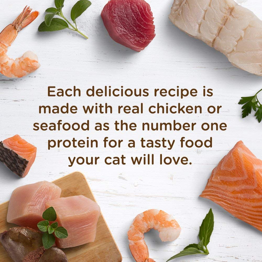 Rachael Ray Nutrish Natural Wet Cat Food, Tuna Purrfection Recipe, 2.8 Ounce Cup (Pack of 12), Grain Free