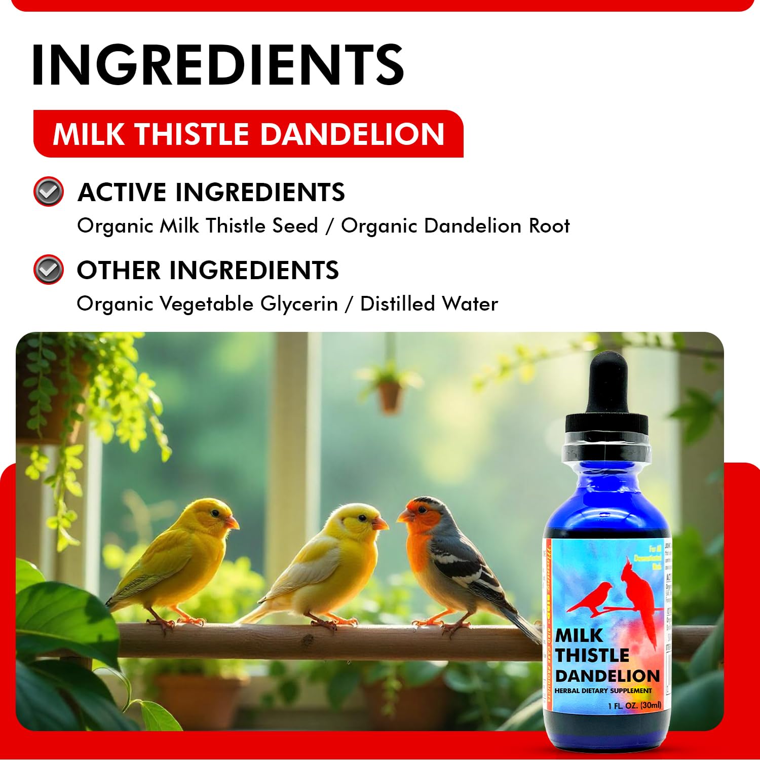 Morning Bird Milk Thistle & Dandelion Extract - Organic Bird Supplement for Optimal Health - Support Liver Heath & Promotes Deto
