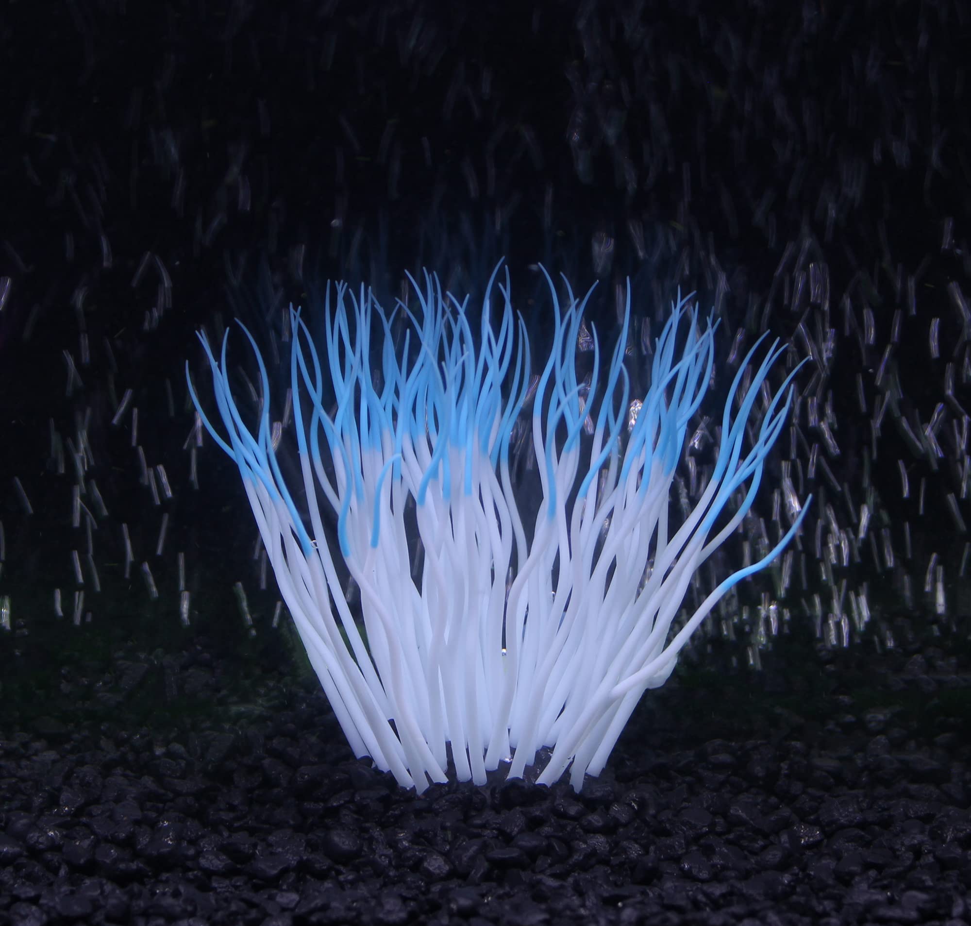 Penn-Plax Aquaplants Artificial Soft Silicone Sea Anemone Aquarium Plant Blue, 1Ea/One Size - Pds-030172102462