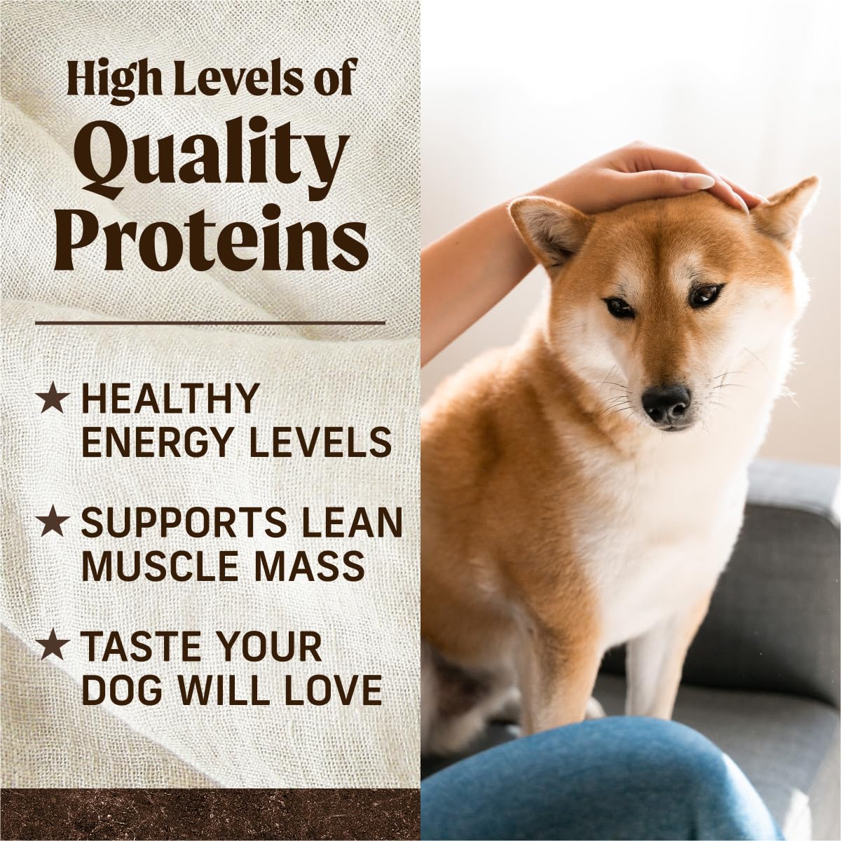 Merrick Premium Grain Free Dry Adult Dog Food, Wholesome And Natural Kibble, Real Texas Beef And Sweet Potato - 10.0 lb. Bag