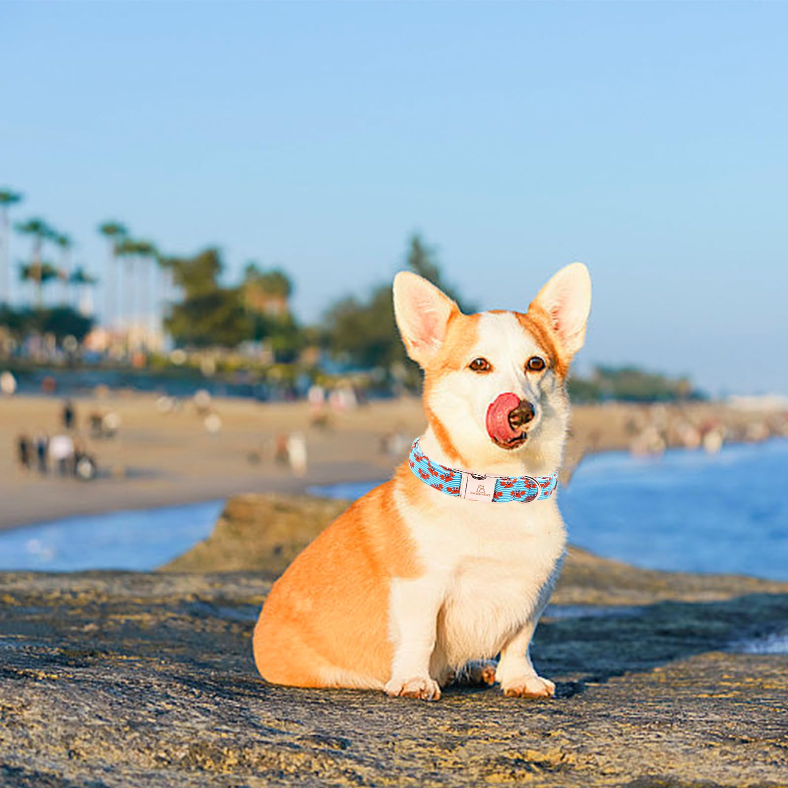 Lionheart Glory Dog Collar Blue Stripe Dog Collar For Large Dogs, Summer Boy Dog Collars Adjustable Duty Heavey Collar Collar Cu