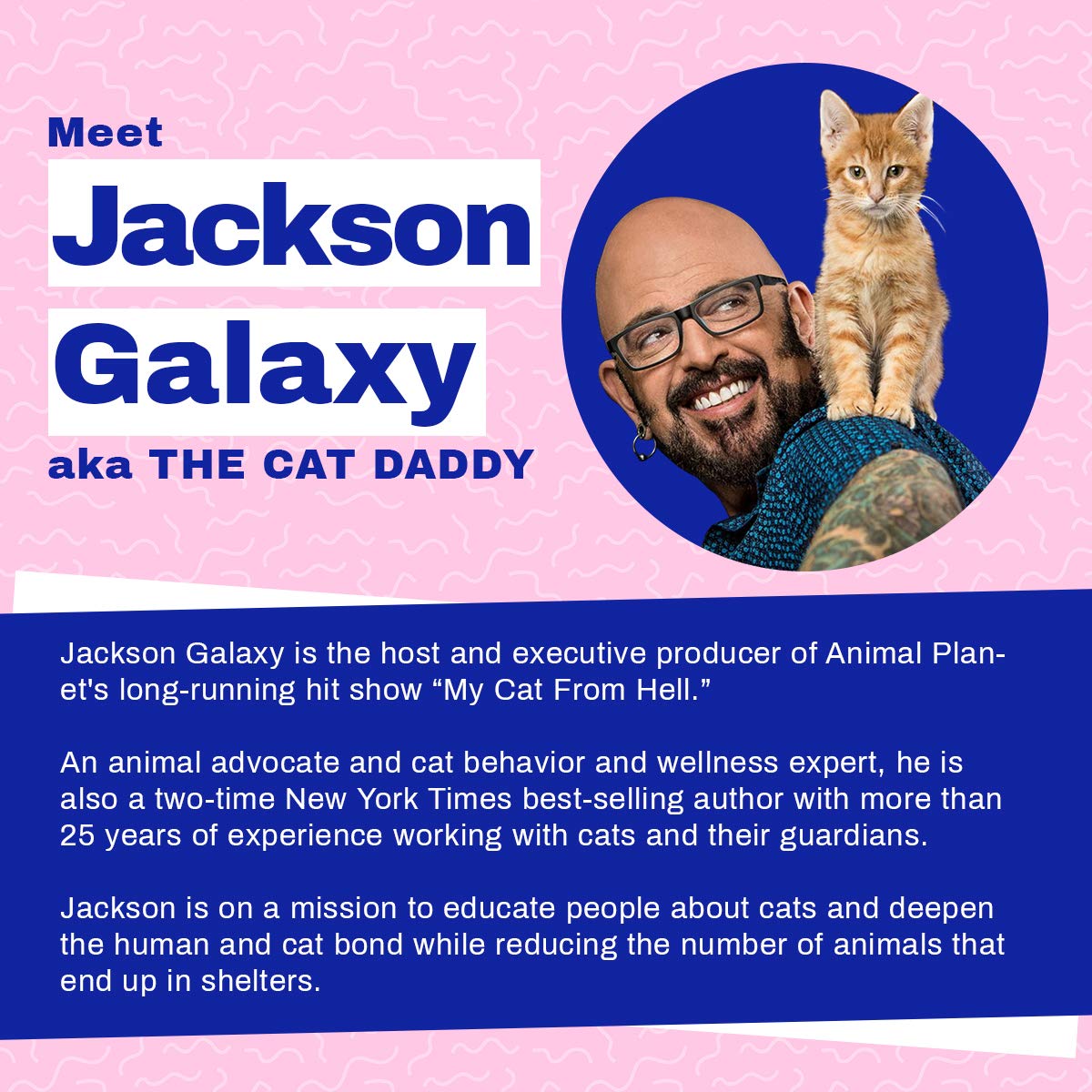 Your Cat Backpack Carrier Bag - Jackson Galaxy Airline Approved Cat Carrier With Space Capsule Bubble For Small Cats, Kitten - Premium Cat Carrier Backpack For Outdoor, Travel, Hiking, Pet Supplies