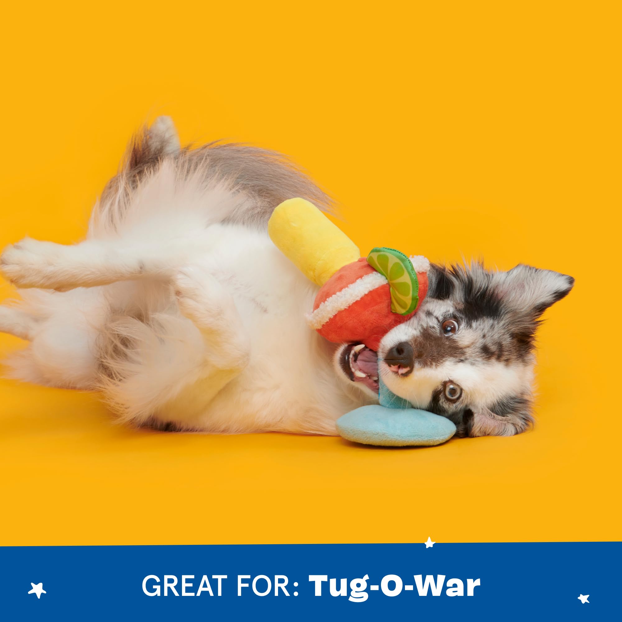 Barkbox Bulldog Barkarita Plush Dog Toy, Crazy Crinkle And Whip N Flip Features & Squeakers - Fun Dog Toys