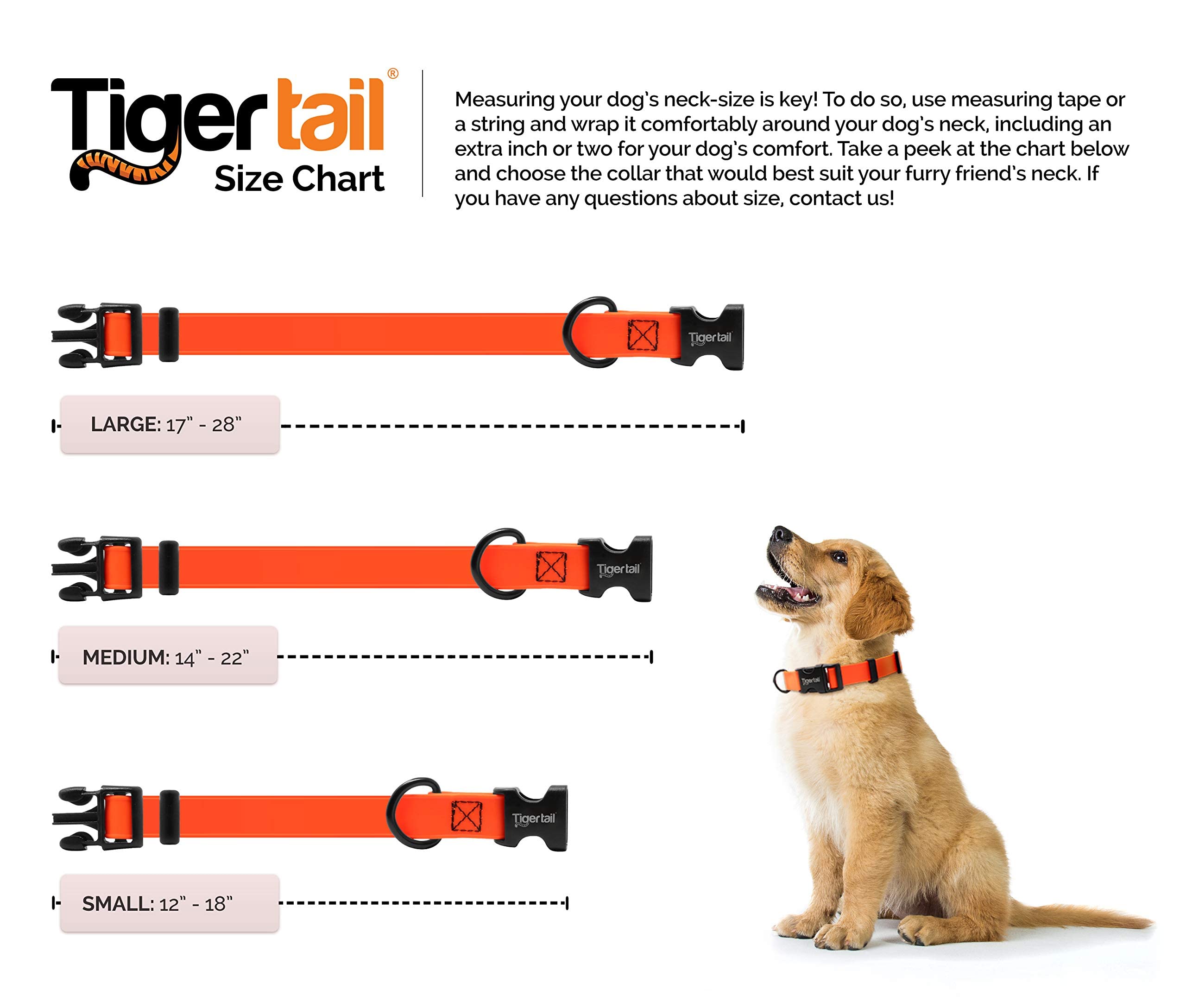 Tiger Tail Urban Nomad Dog Collar | Waterproof, Odor Proof, Durable, Anti-Mat & Lightweight | Premium Coated Nylon | For Large, Medium & Small Breed Pets | Black, Medium
