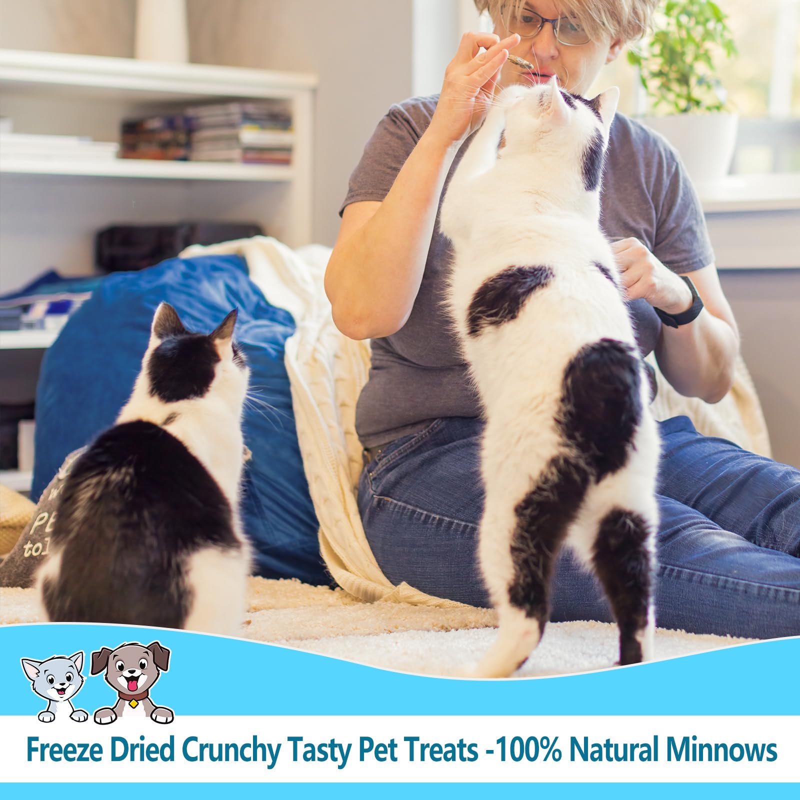 JADINGSFARM Minnows - 2 oz Freeze Dried - 100% Natural Premium Cat Treat, Dog Treat - Freeze Dried Minnows for Cats - Freeze Dri