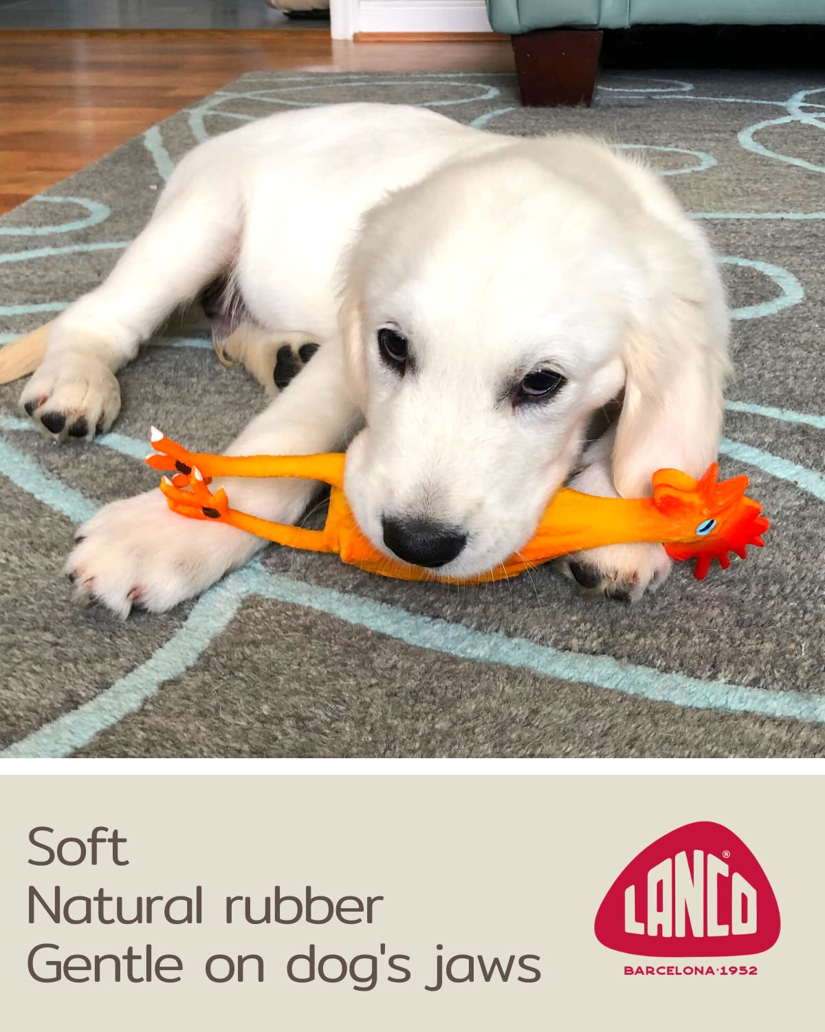 Rubber Chicken Dog Toys - Natural Rubber (Latex) - Small Breeds Puppies Lead-Free Chemical-Free - Complies With Same Safety Standards As Baby Toys - Soft Unstuffed Squeaky (Small)