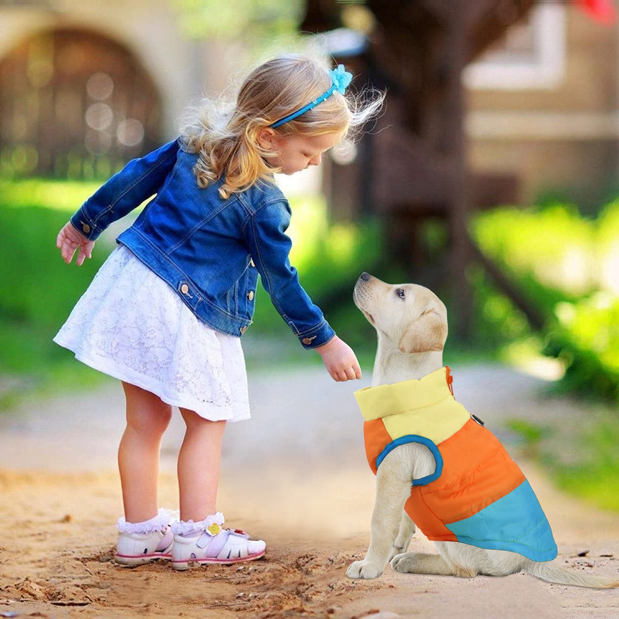 Idepet Pet Dog Cat Coat With Leash Anchor Color Patchwork Padded Puppy Vest Jacket Teddy Chihuahua Costumes Pug Cloth Xs S M L (X-Large, Sky Blue)