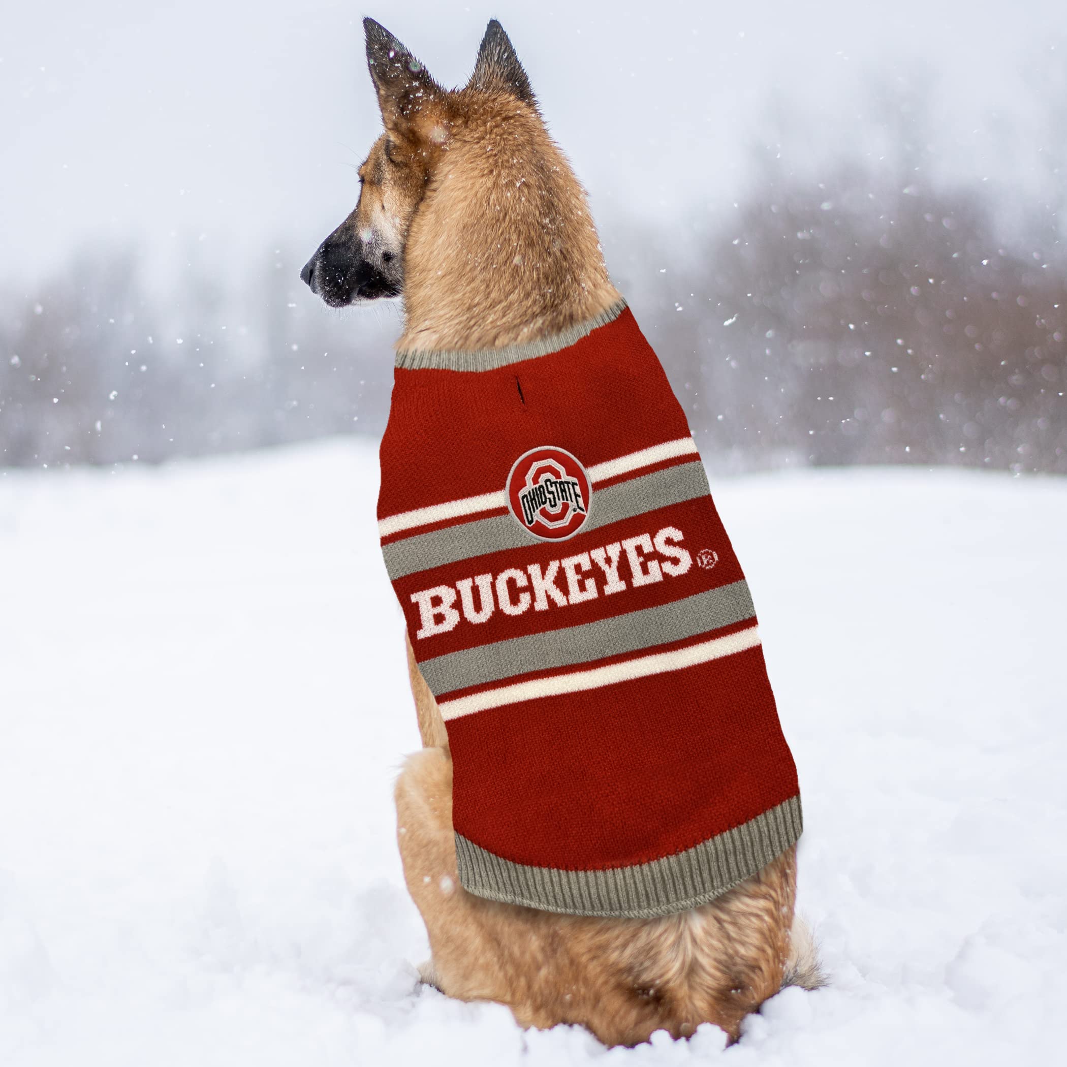 NCAA Ohio State Buckeyes Dog Sweater, Size Large. Warm and Cozy Knit Pet Sweater with NCAA Team Logo, Best Puppy Sweater for Lar