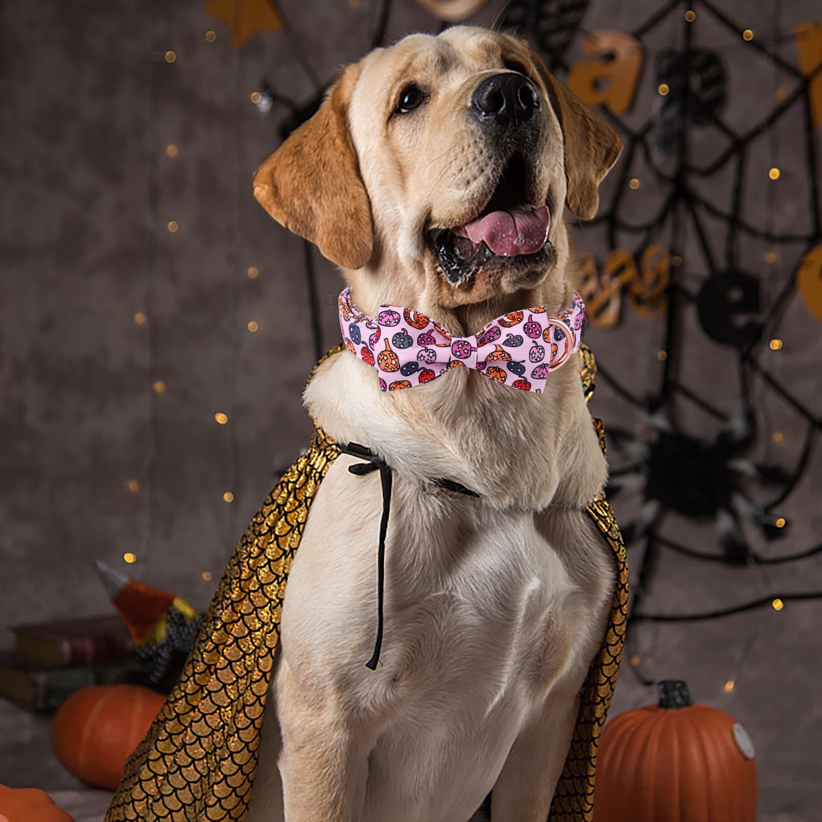 Aring Pet Halloween Dog Collar-Cute Pink Pumpkin Dog Collar With Bow, Cotton Halloween Pumpkin Lamp Dog Collar Bowtie With Metal Buckle