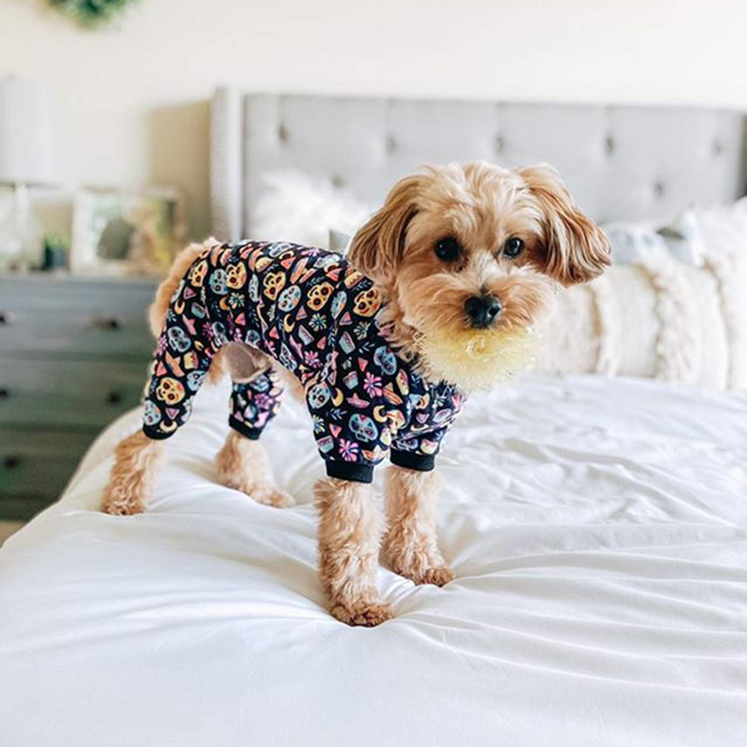 Cutebone Dog Pajamas Coco Skulls Dog Apparel Dog Jumpsuit Pet Clothes Pajamas P73M