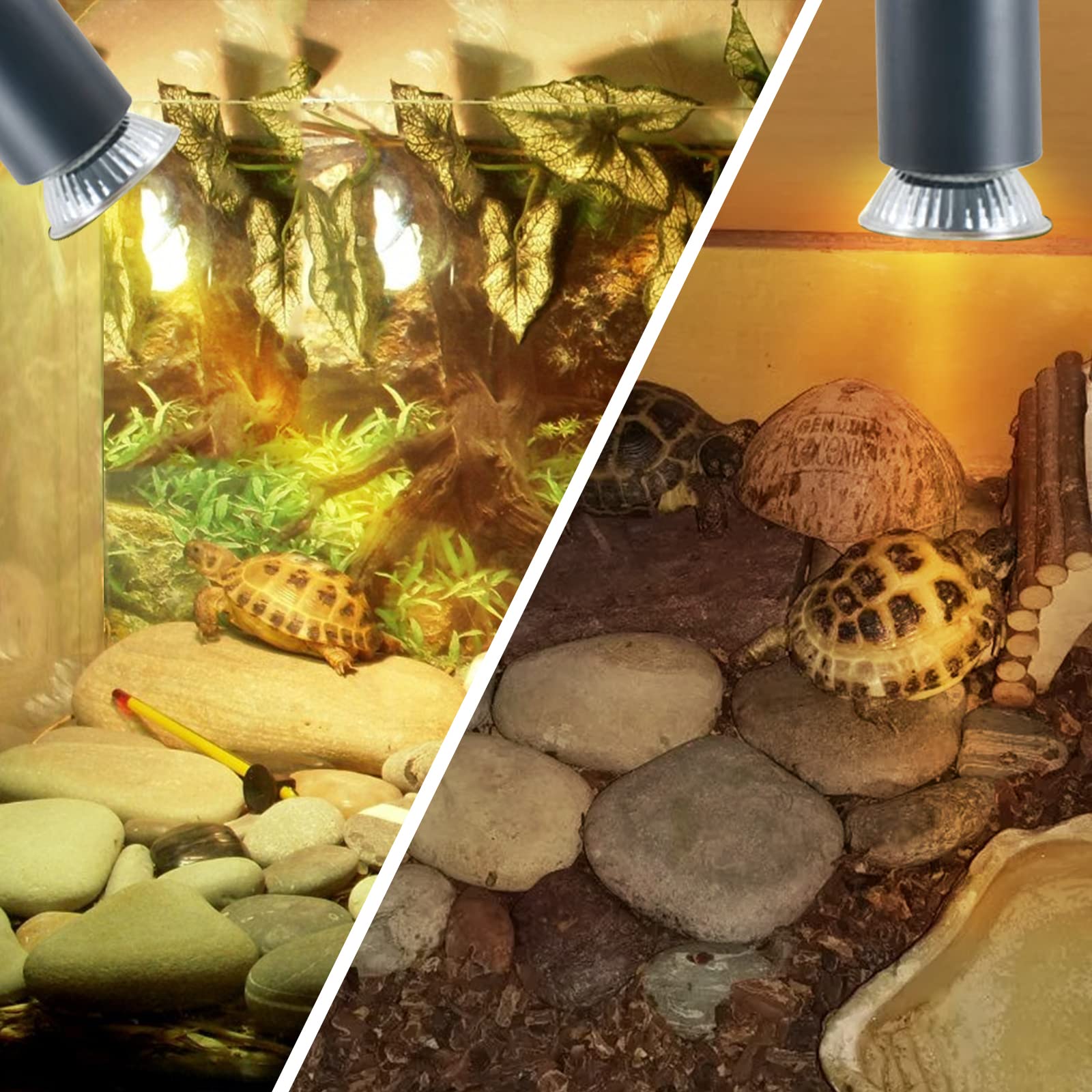 Lucky Herp 4 Pack 25W Uva Uvb Reptile Light Bulbs, Heat Lamp Bulbs For Reptiles And Amphibians, Basking Light Bulb For Turtle, B