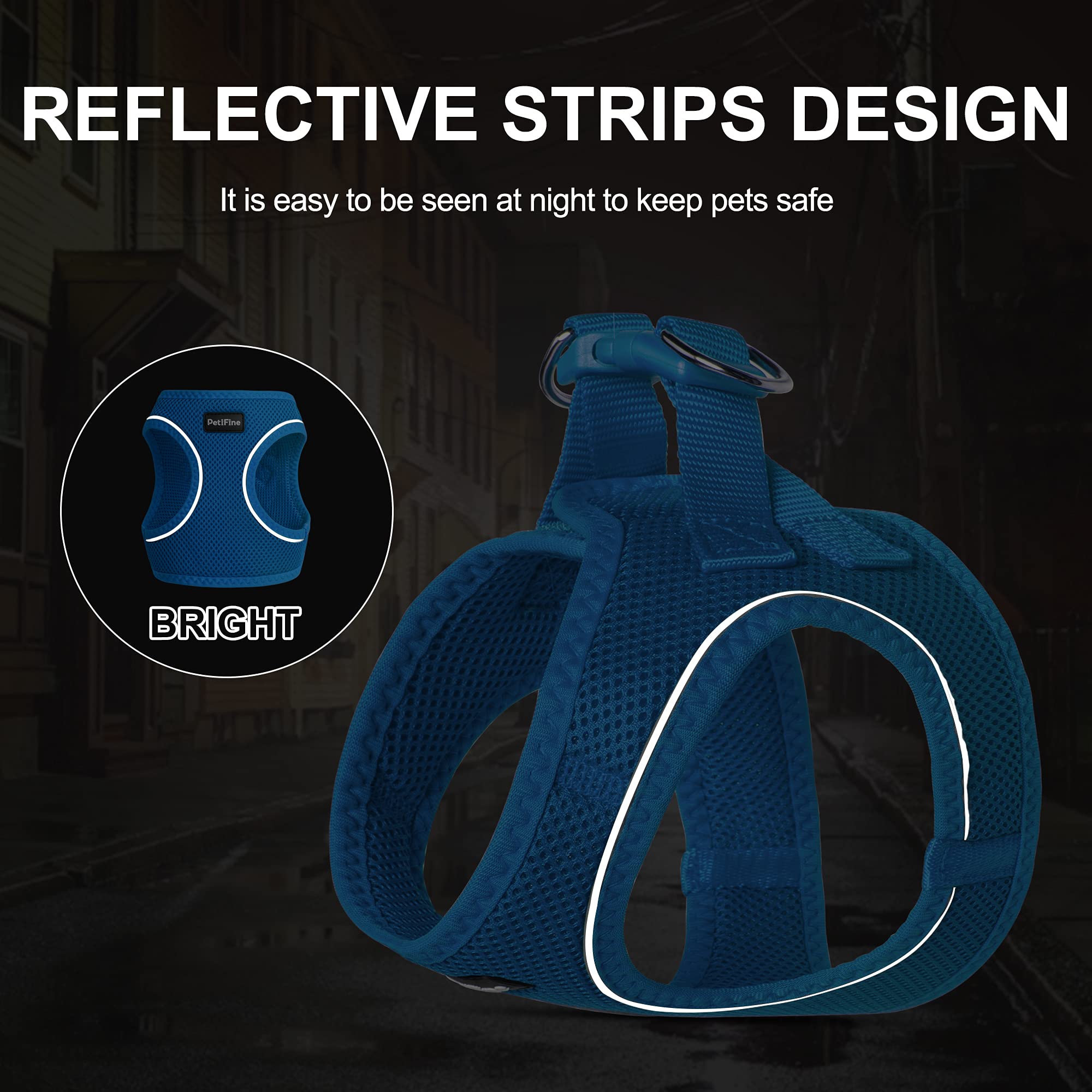 Petifine Extra Small Step In Dog Harness And Leash Set, Cat Harness And Leash Escape Proof, All Weather Mesh Reflective, Step-In Air Vest Harnesses For Puppy(Xxs, Baby Blue)