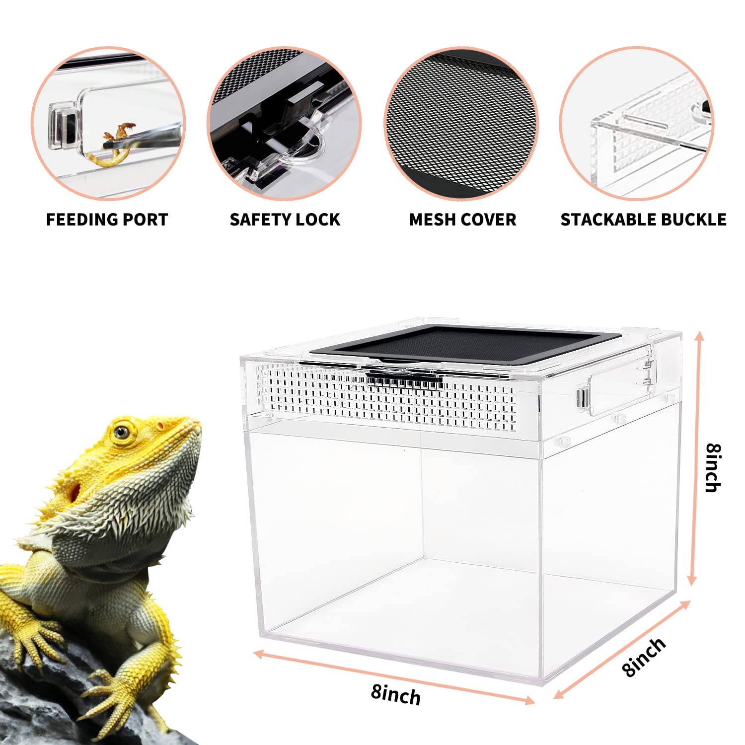 Reptile Growth Mini Reptile Terrarium,8'' X 8''X 8'' Reptile Tank With Full View Visually Appealing,For Insect,Fish,Tarantula,He