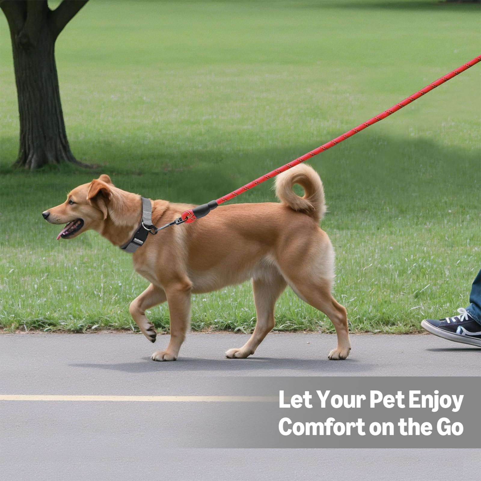 Amazon Basics Round Dog Leash, Heavy Duty, Durable Rope For Small, Medium, And Large Dogs, Lightweight Design For Walking, Train