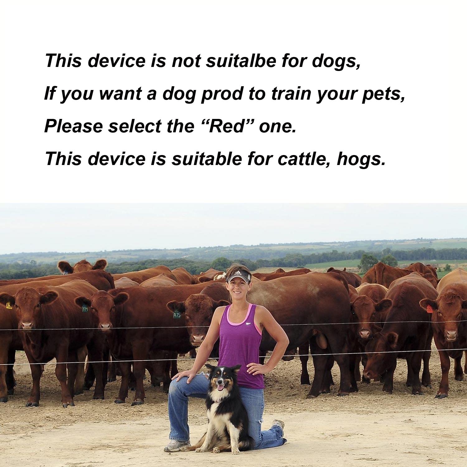 VETPLUS Rechargeable Livestock Prod with LED Torch Light, 33 Flexible Shaft, Fruit Green, for Cattle, Hog, Goat, and Sheep