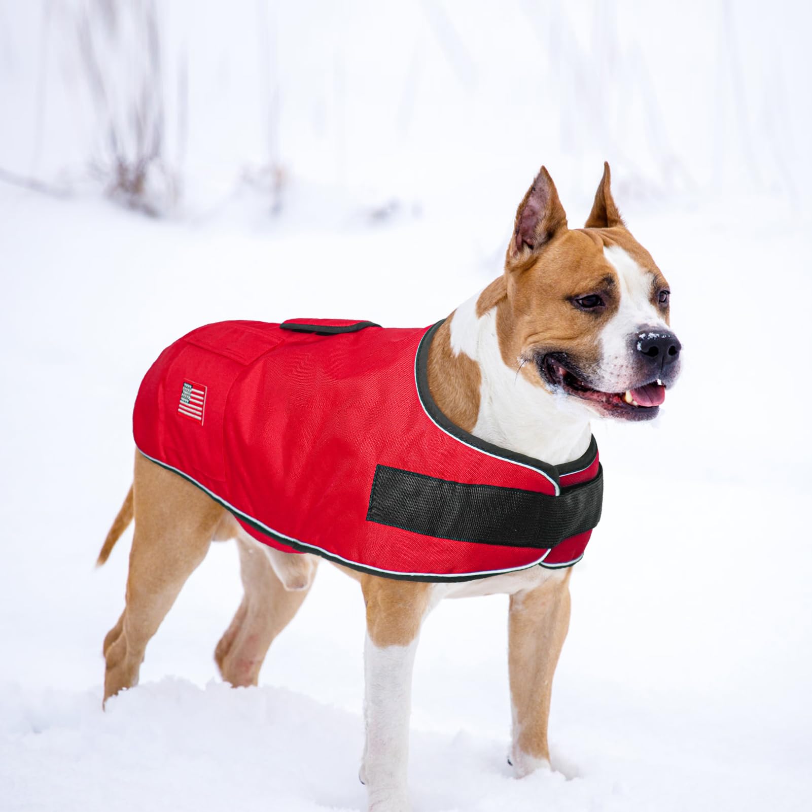 BEAUTYZOO Reflective Dog Winter Coat - Waterproof Windproof Dog Jacket with Fleece Lining - Sizes for Small to Great Dane