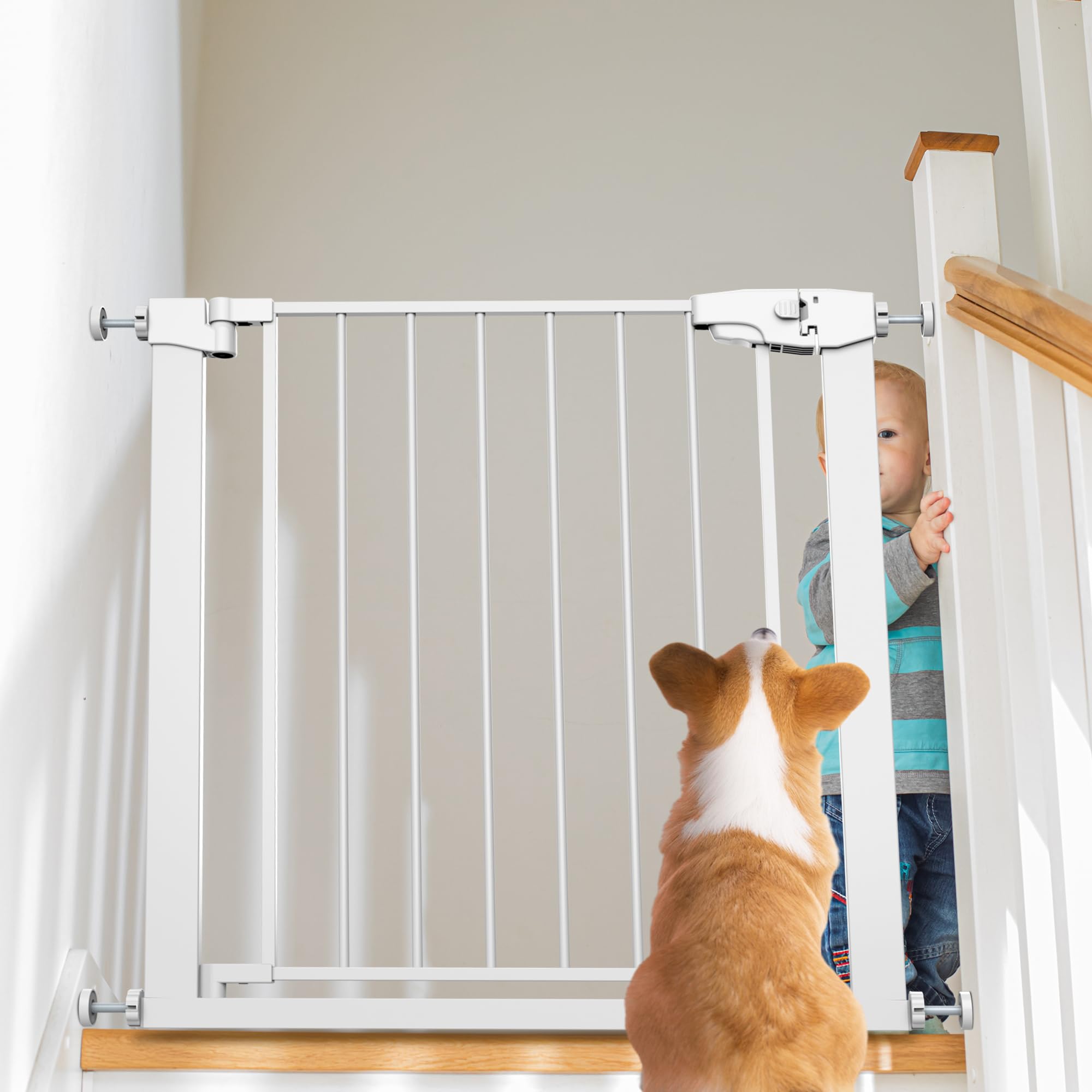 Edmyre Easy Step Walk-Thru Baby Gate, Adjustable 29.7-32W x 30.5H inches, Metal, White, CPC Certified, Model ED-GATE-ES