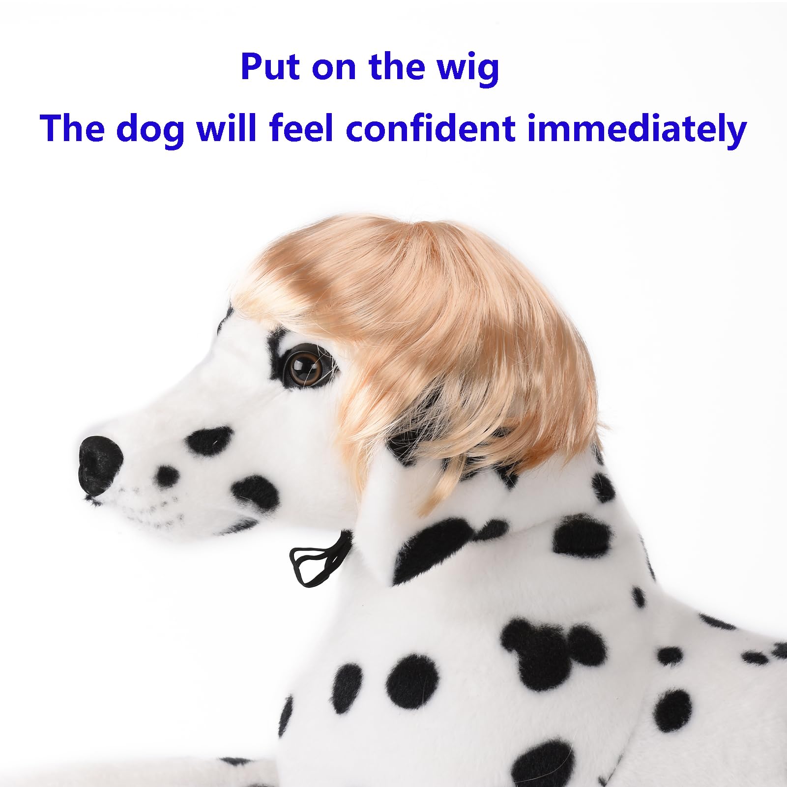 Funny Cosplay Wig For Dog, Headwear Apparel, Pet Costumes, Cat Dress Up For Halloween, Christmas, Parties, Festivals (Golden Str