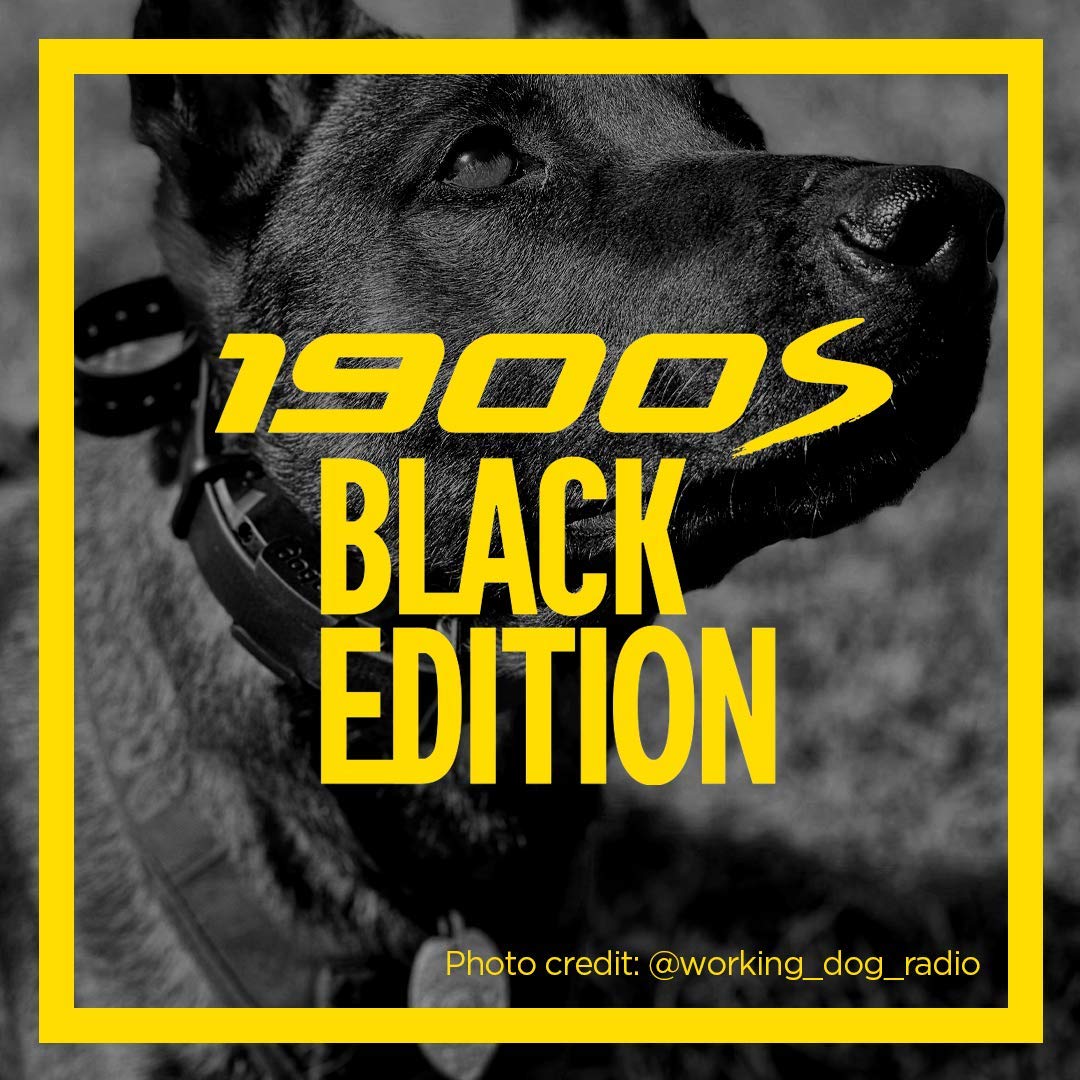 Dogtra 1900S 3/4-Mile Edition Dog Training System, Black
