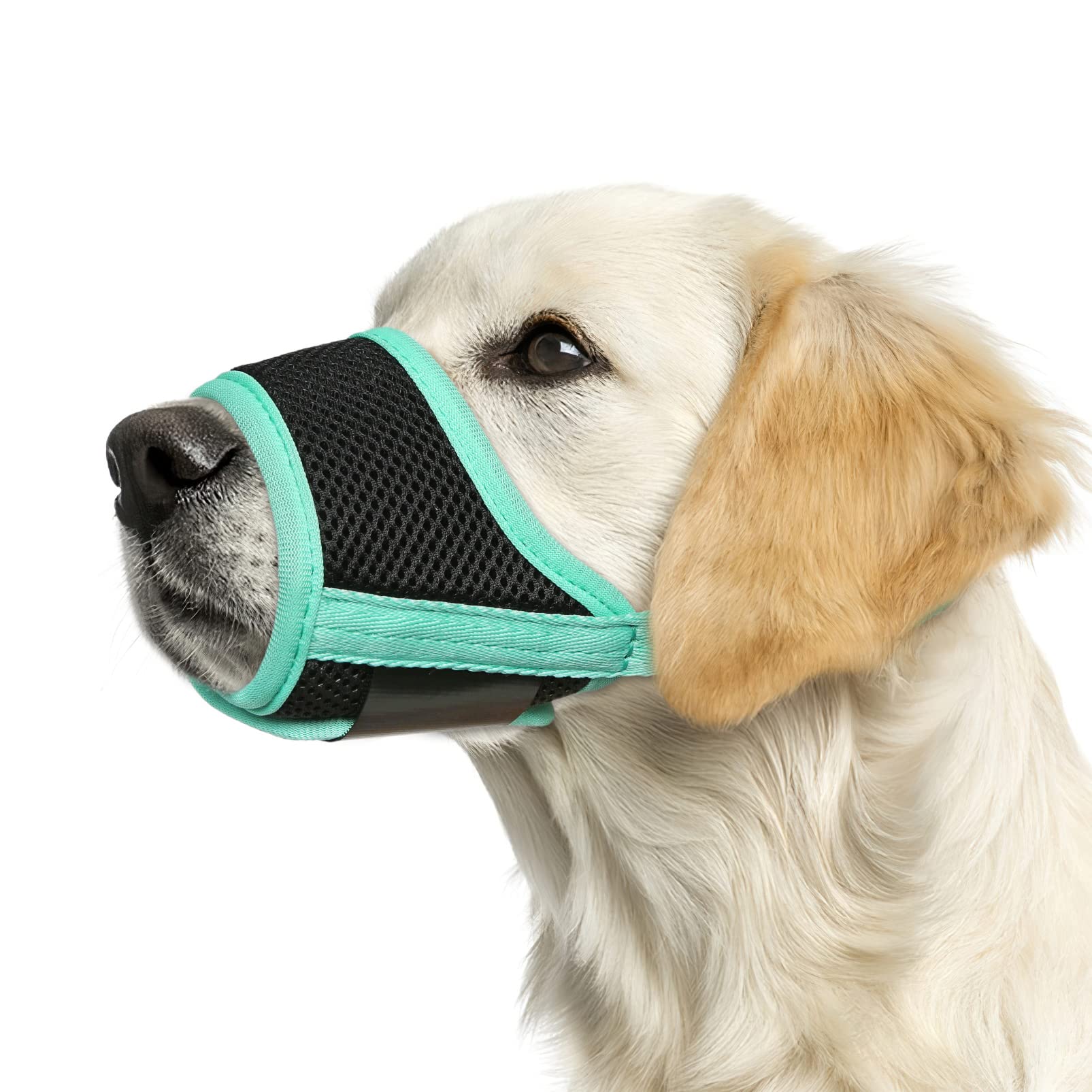 Heele Dog Muzzle, Soft Mesh Breathable Muzzle With Adjustable Straps For Small Medium Large Dogs, Prevent Biting, Licking And Chewing, Allow Drinking Panting Green Large