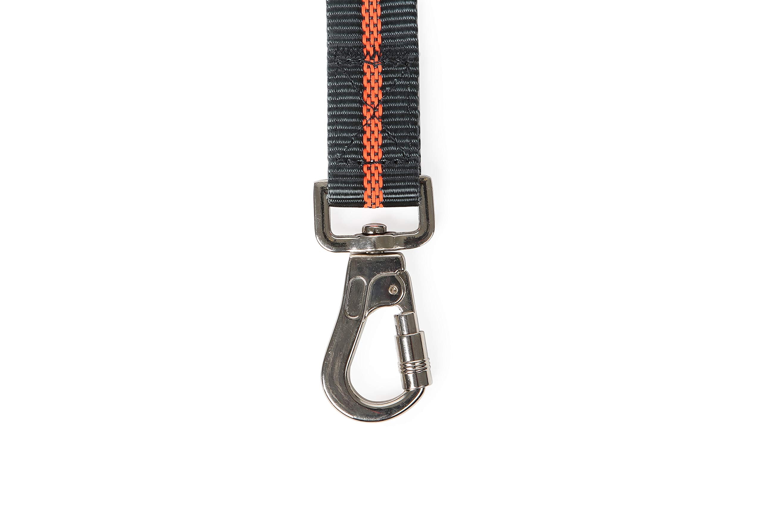 Dexas Double Handled Reflective Dog Leash, Large