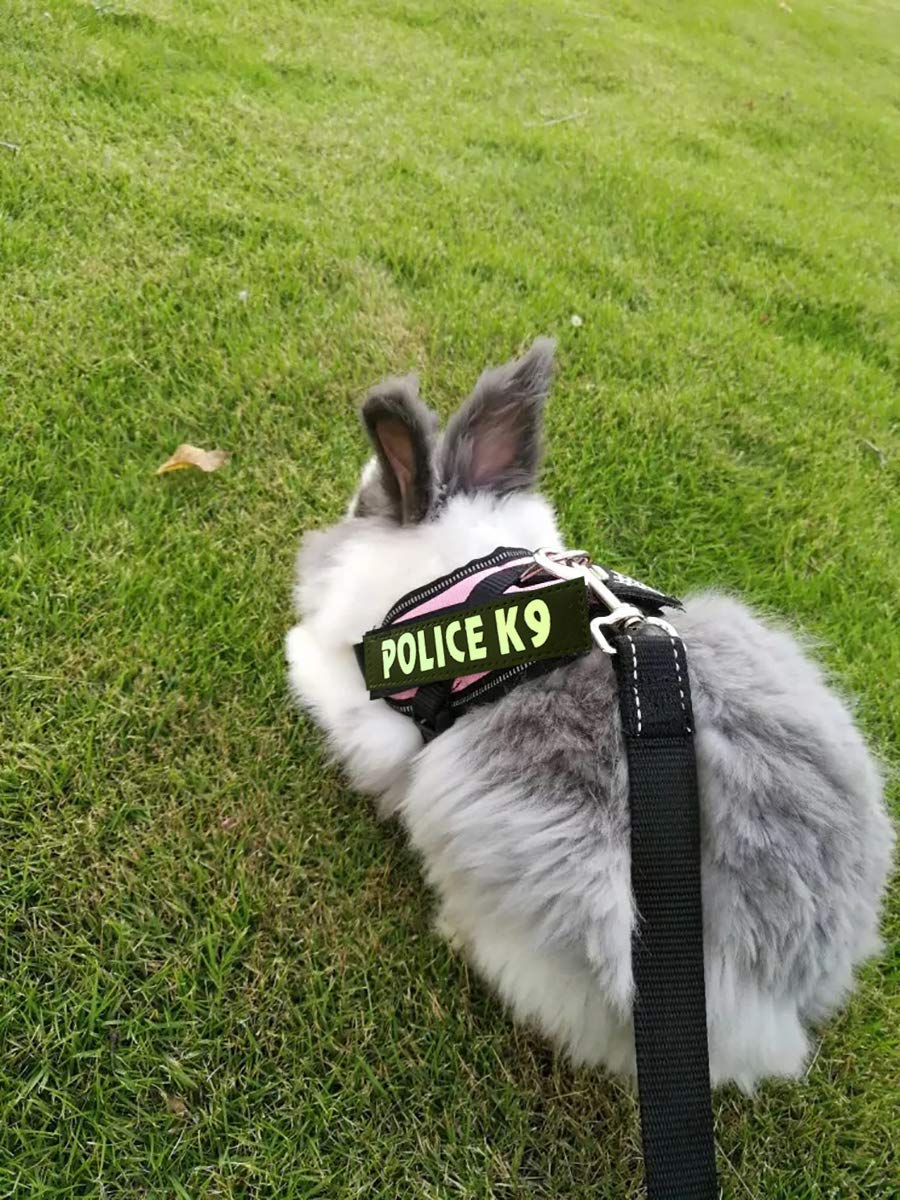 Vehomy Rabbit Harness With Leash For Bunny Rabbits Cats Small Animals (Pink)