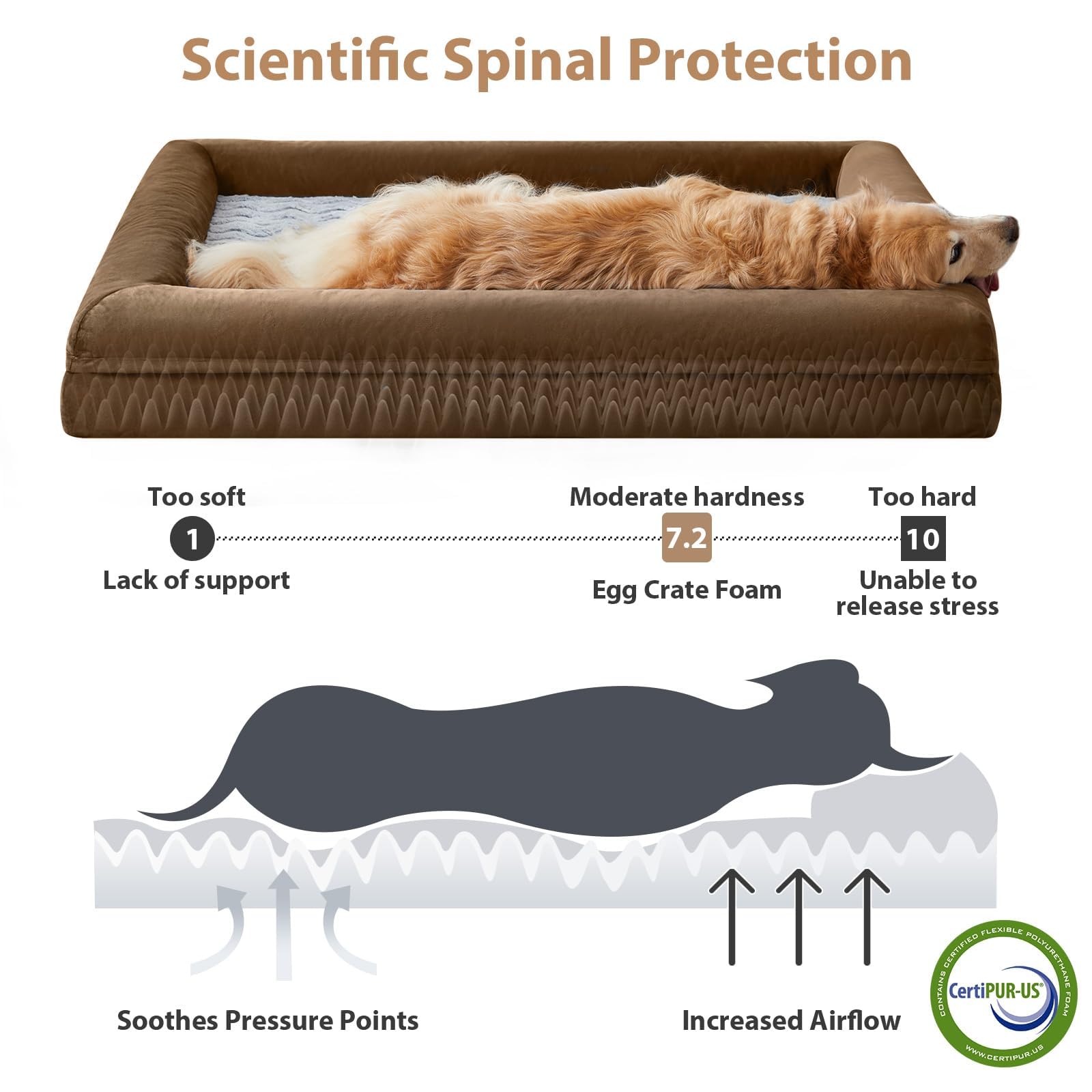 WNPETHOME XL Extra Large Dog Bed, Washable Dog Couch with Removable Waterproof Cover, Orthopedic Large Pet Sofa Bed with Bolster