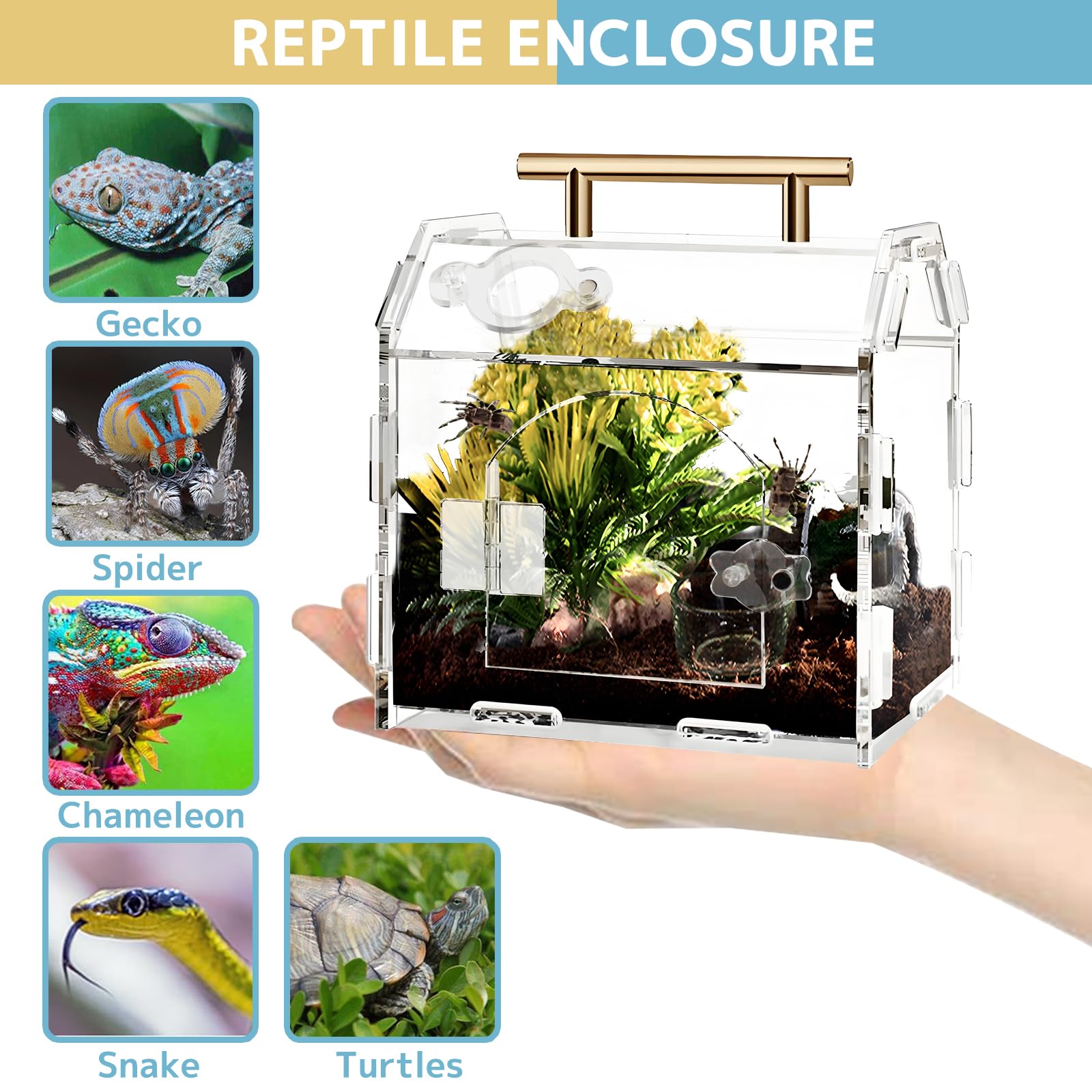 Jumping Spider Enclosure Acrylic Terrarium: Tarantula Enclosure With Front Opening Door - 5.9 * 4.7 * 6.1 Inches Micro Habitat T